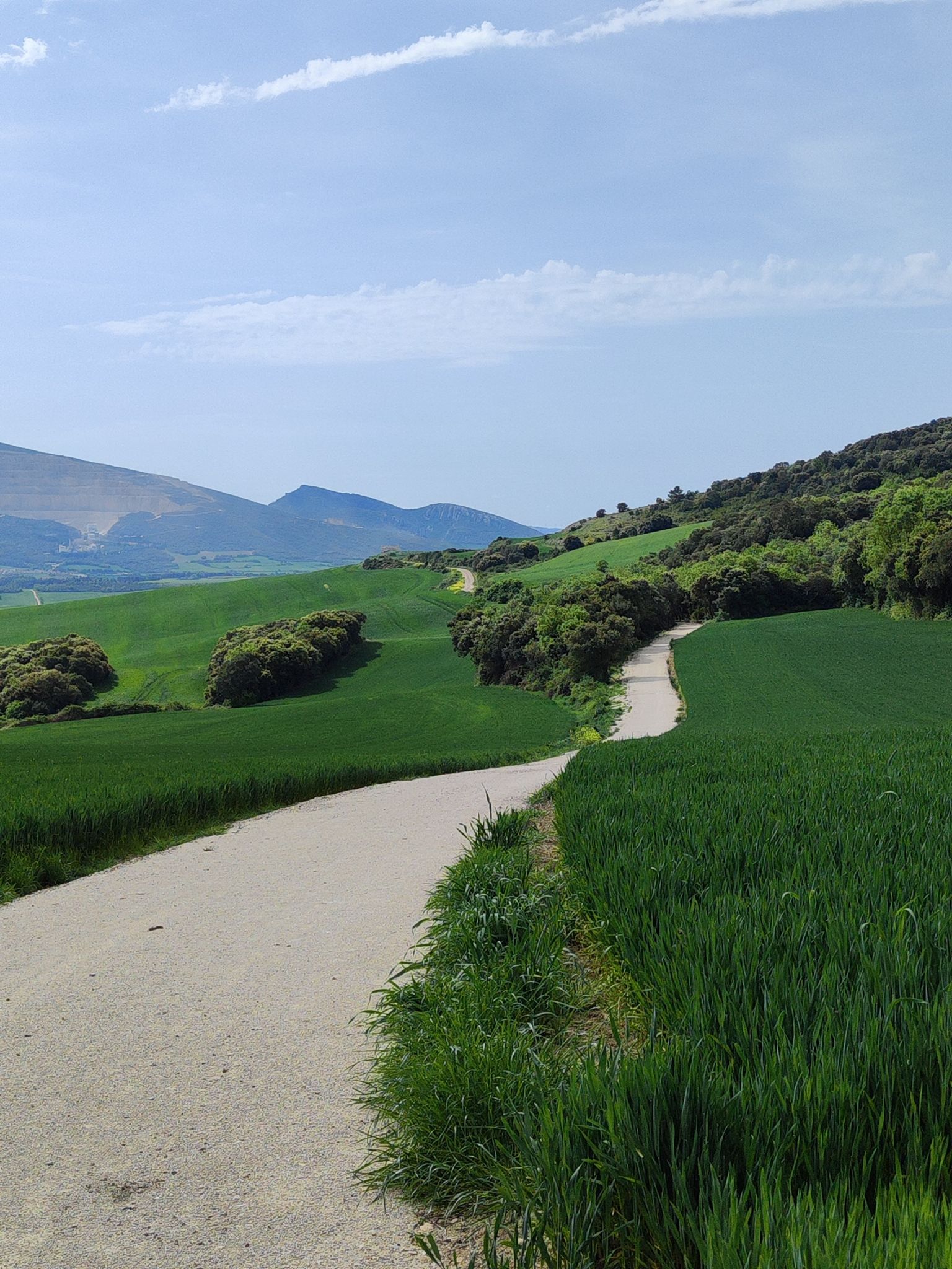 Camino de Subiza
