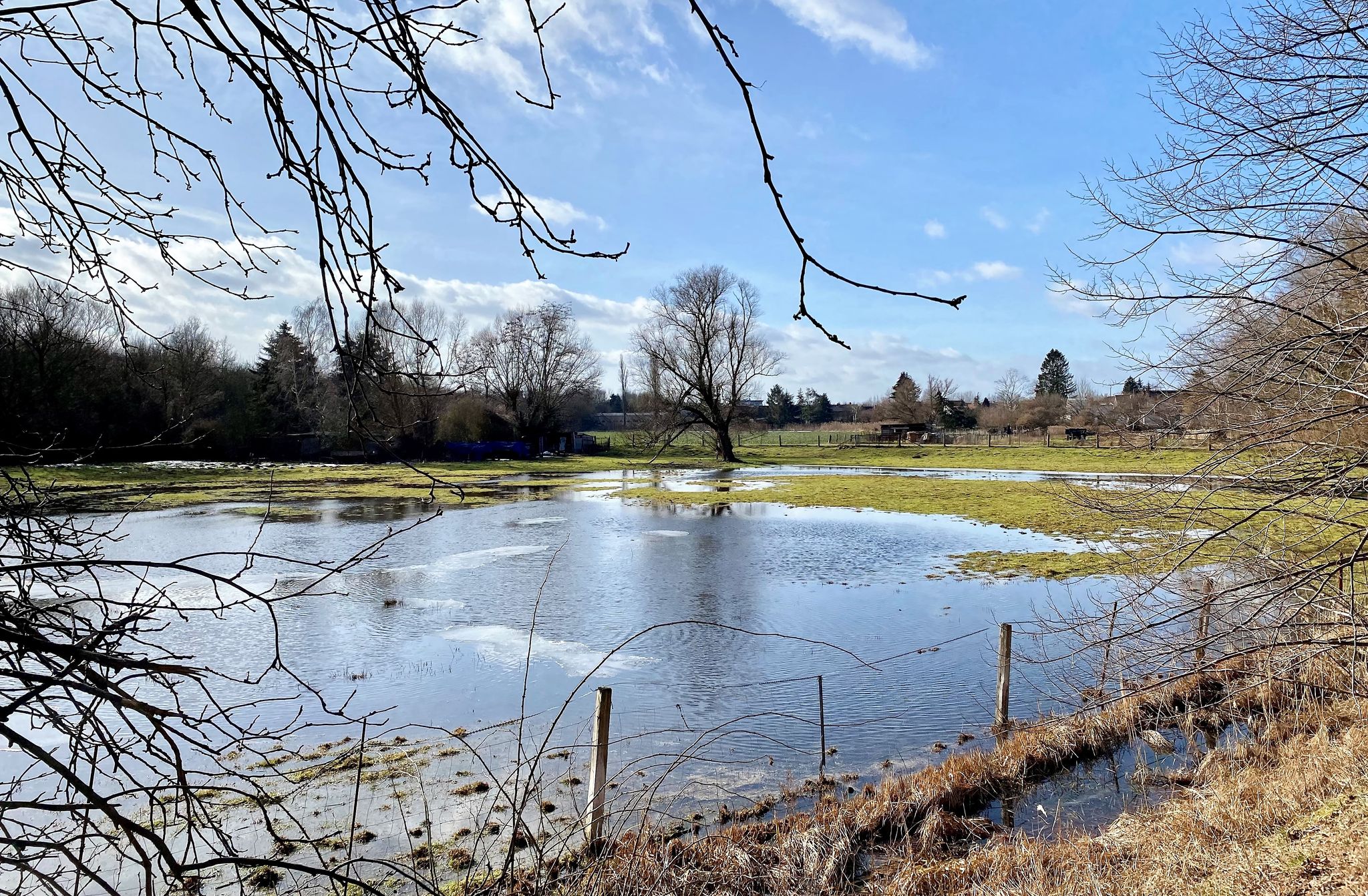 Schafweide unter Wasser