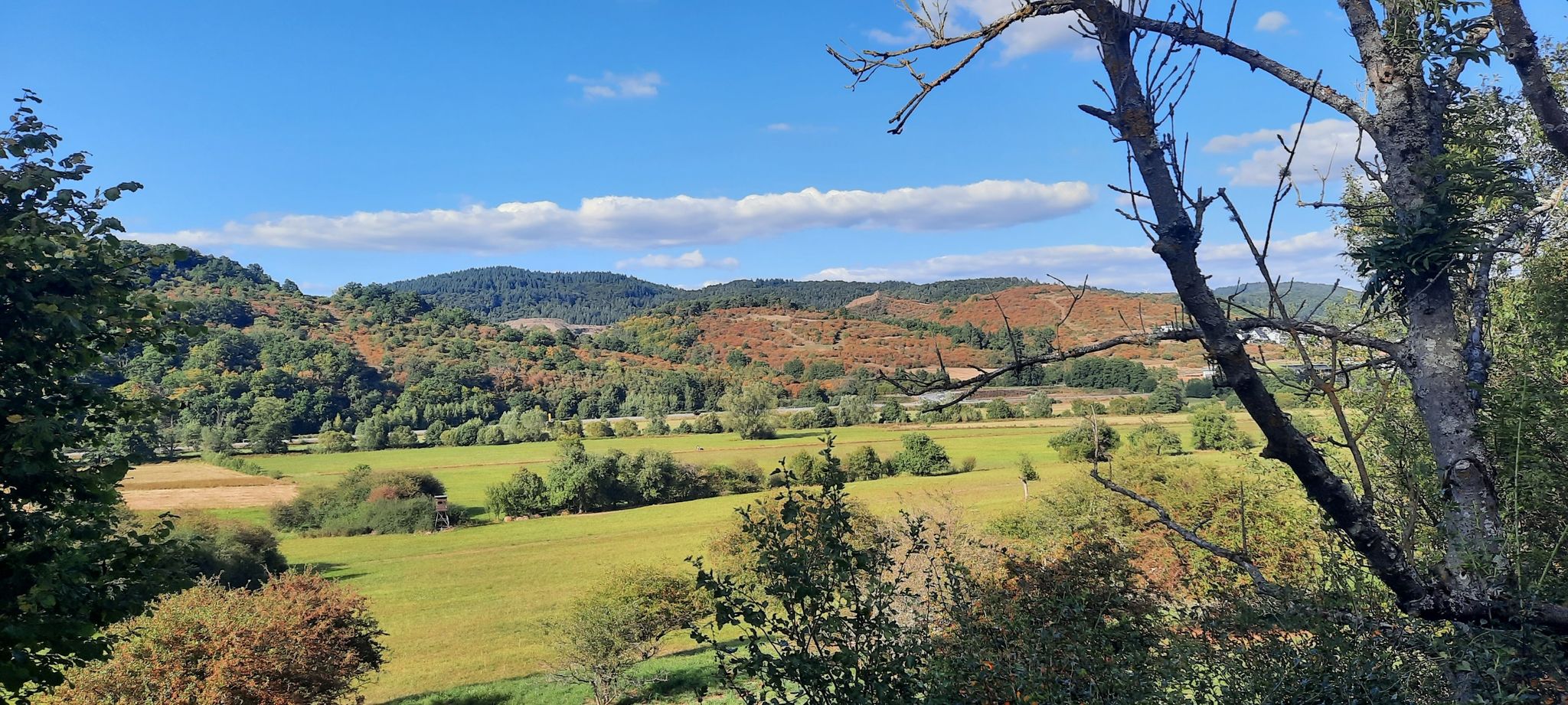 Blick zum Steinbruch Herborn-Seelbach