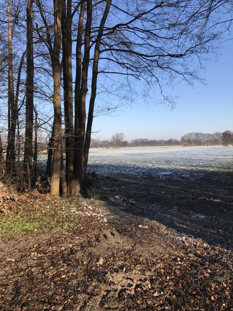 Wirtschaftsweg zwischen Wittorf und Ilmenaukanal