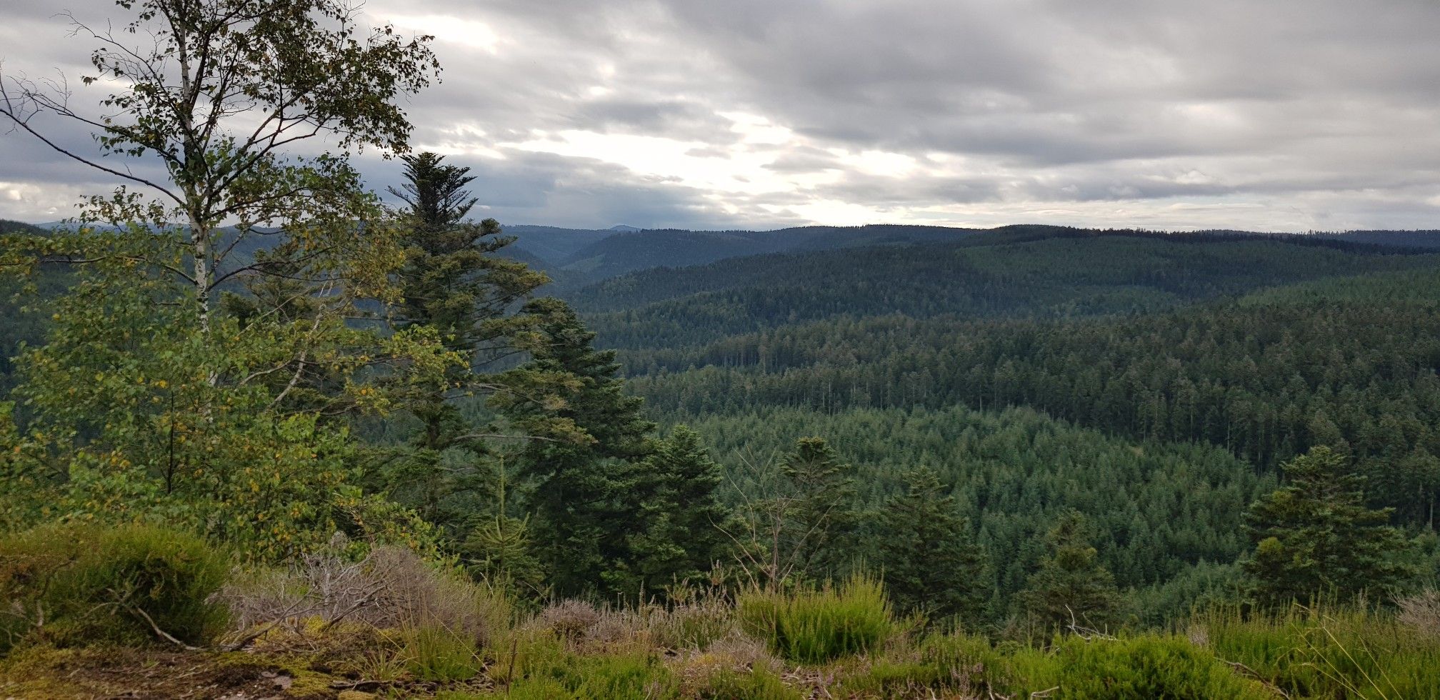 paysages de la Roche