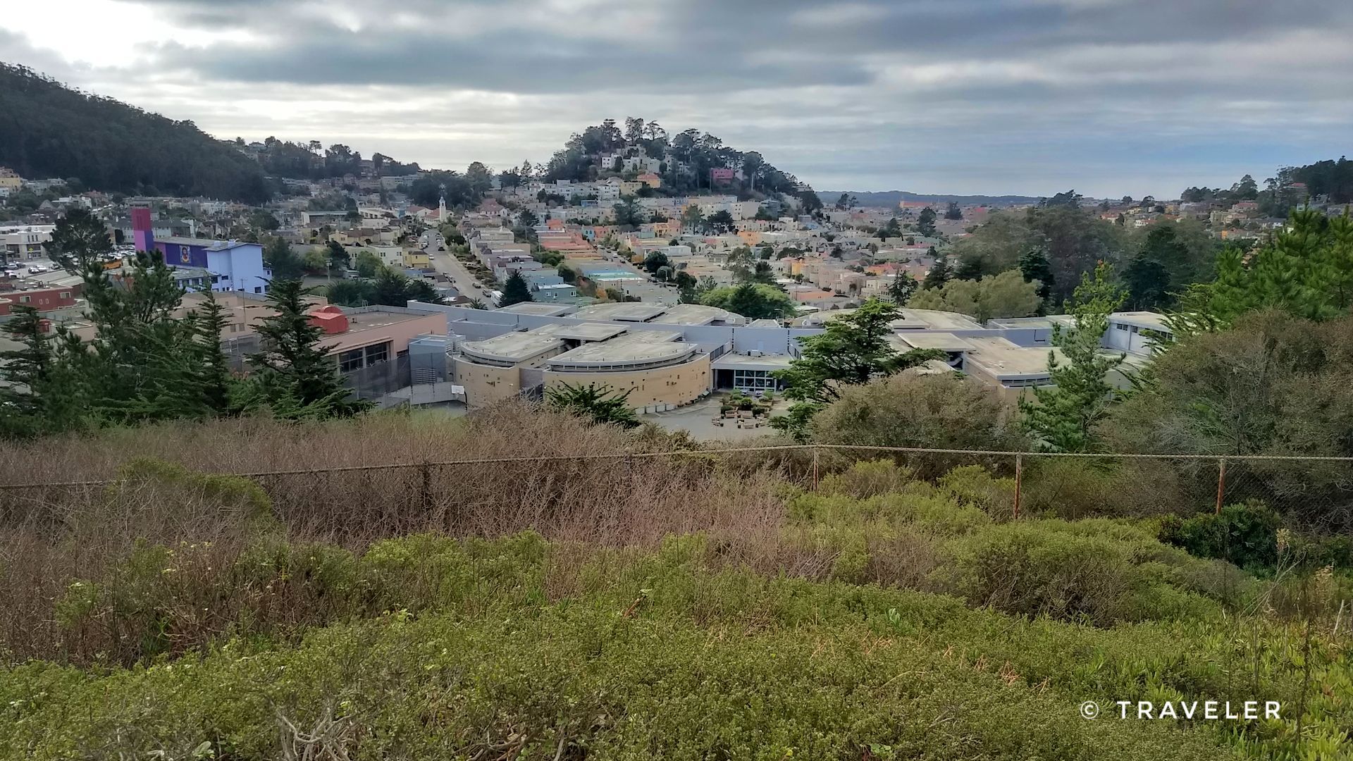 Overlook of a residential area with buildings nestled among hills and trees. - Sutro Tower Trail 🗼 – Sutro Ravine Trail 🌳 loop from Carl Street & Cole Street