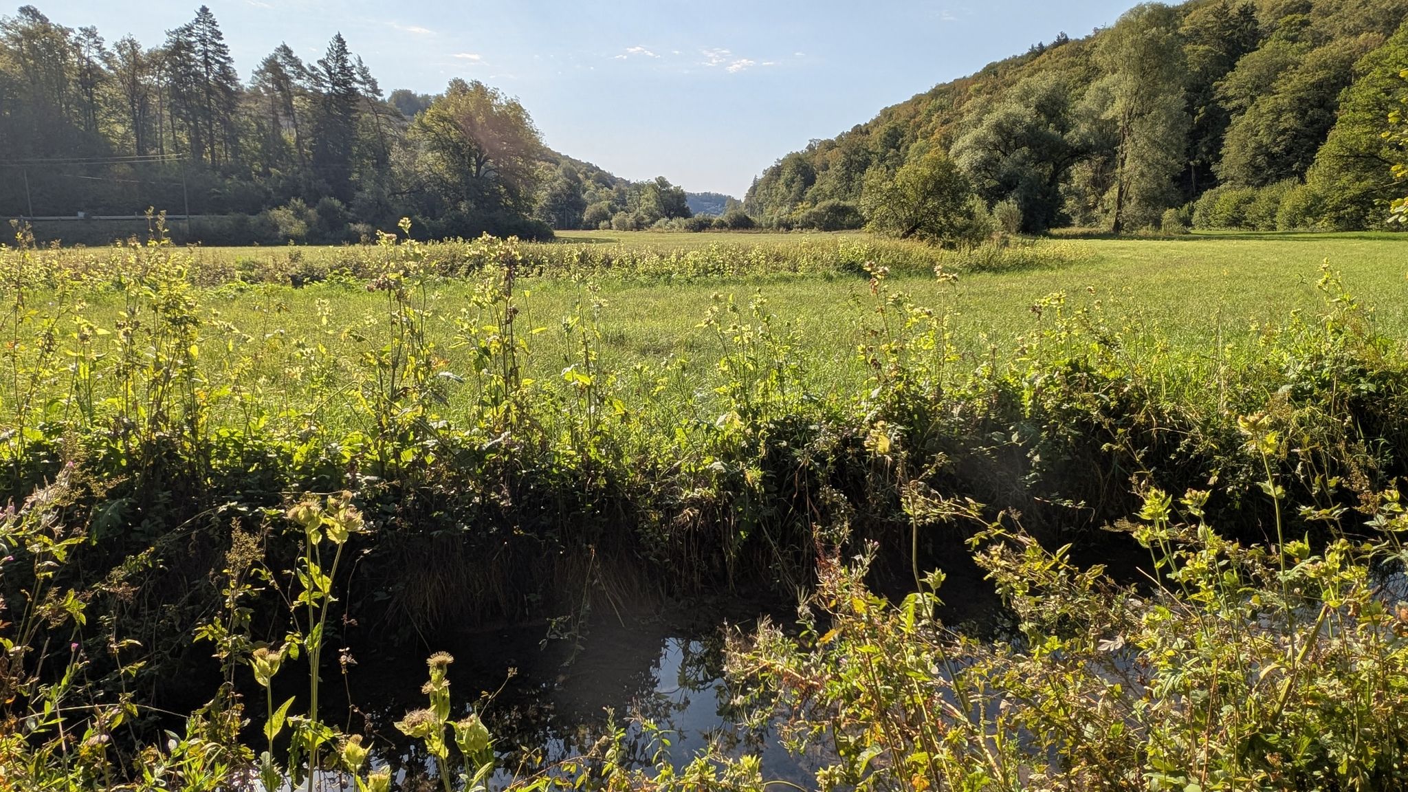 Blick durch das Tal