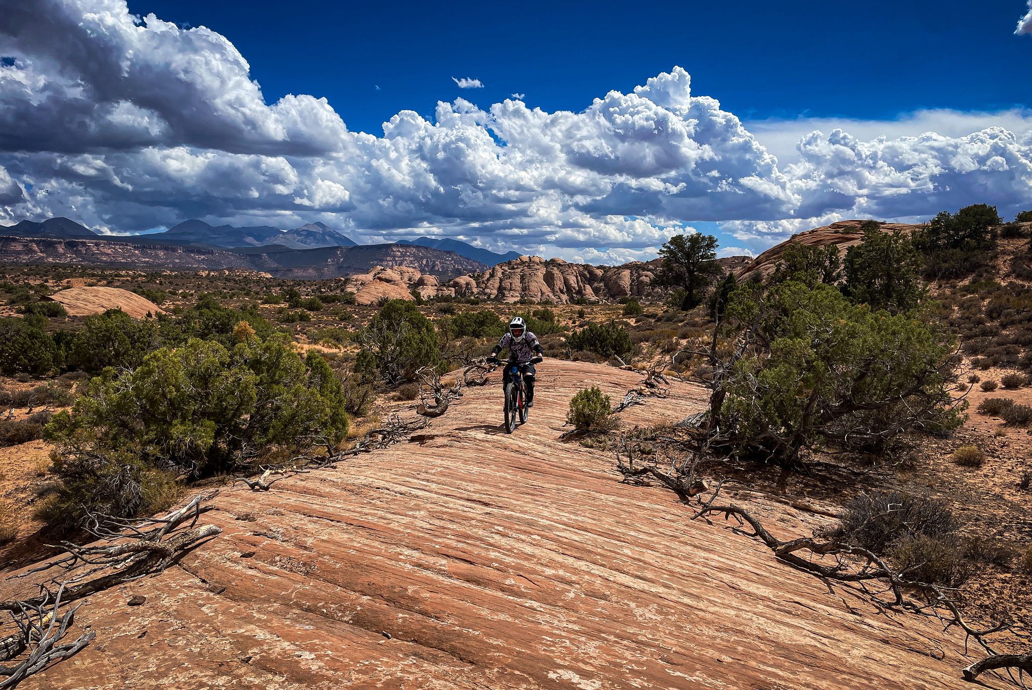 A mountain biker rides on a wide rock path in a vast desert. - Raptor Route