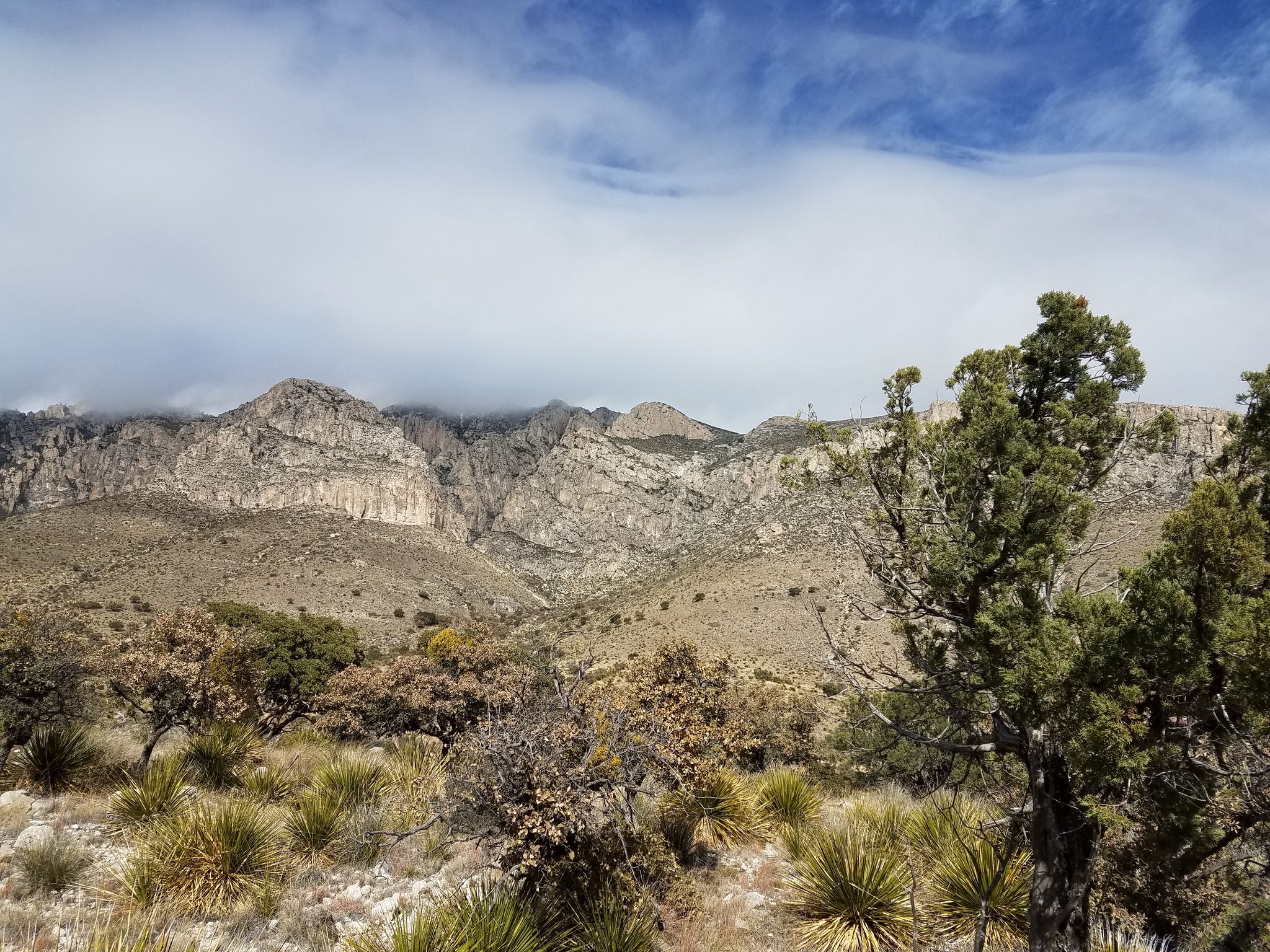 Vast arid landscape with rocky mountains under a cloudy sky, foreground with scrub. - The Bowl Loop