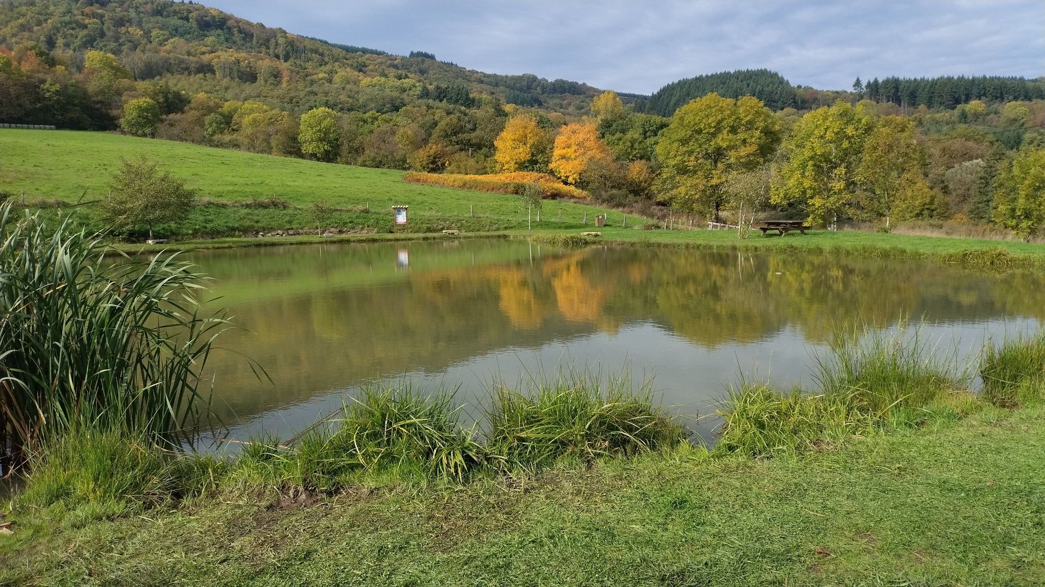 l'étang de carelle