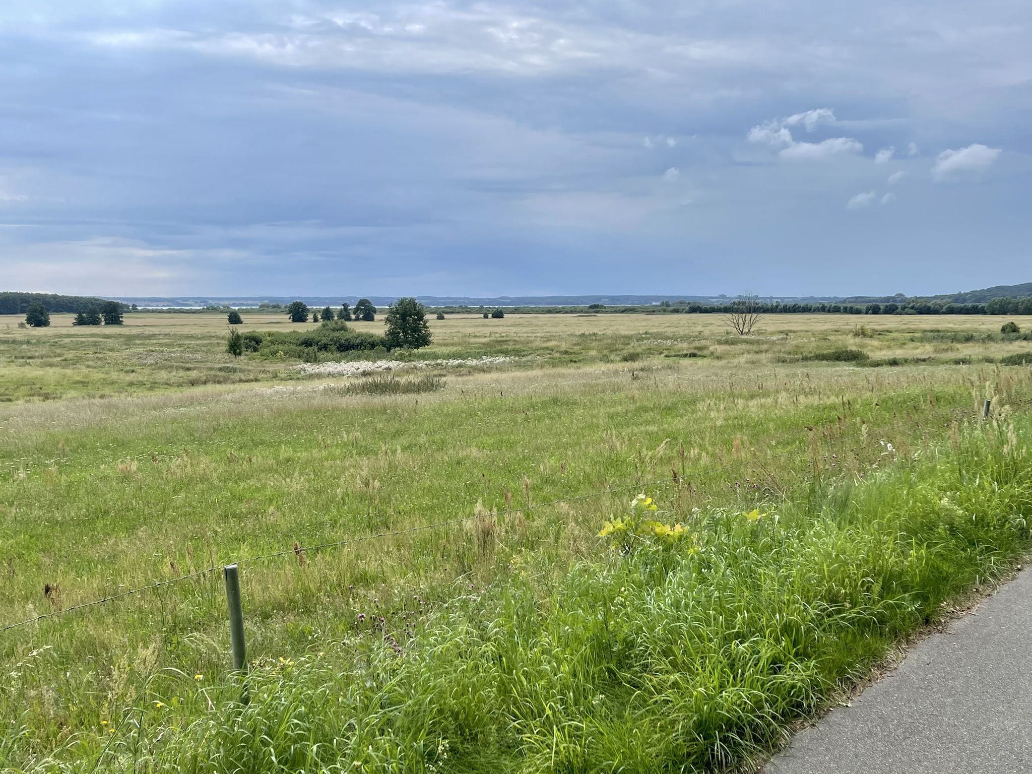 Landschaft auf Westseite des Kummerower Sees ist deutlich flacher