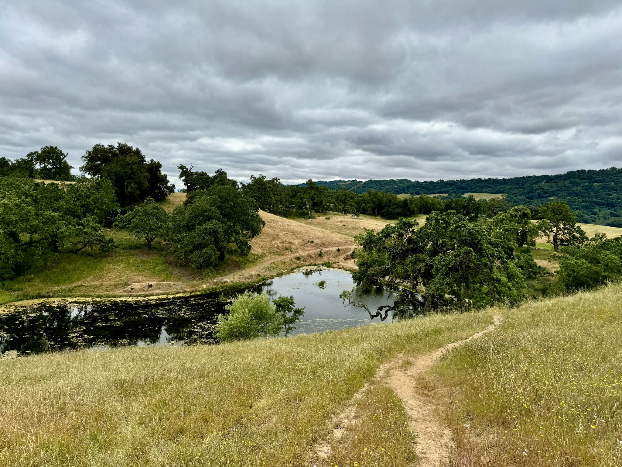 Dirt path winds past a pond and green hills under a cloudy sky. - Bass Lake Loop