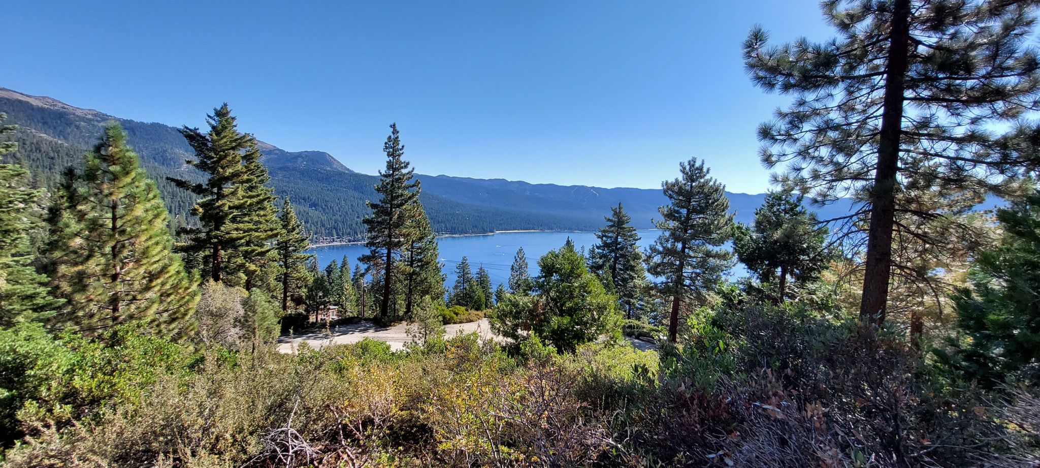 Panoramic view of a serene lake surrounded by mountains and pine forests under clear skies. - Kings Beach to Stateline Fire Lookout loop