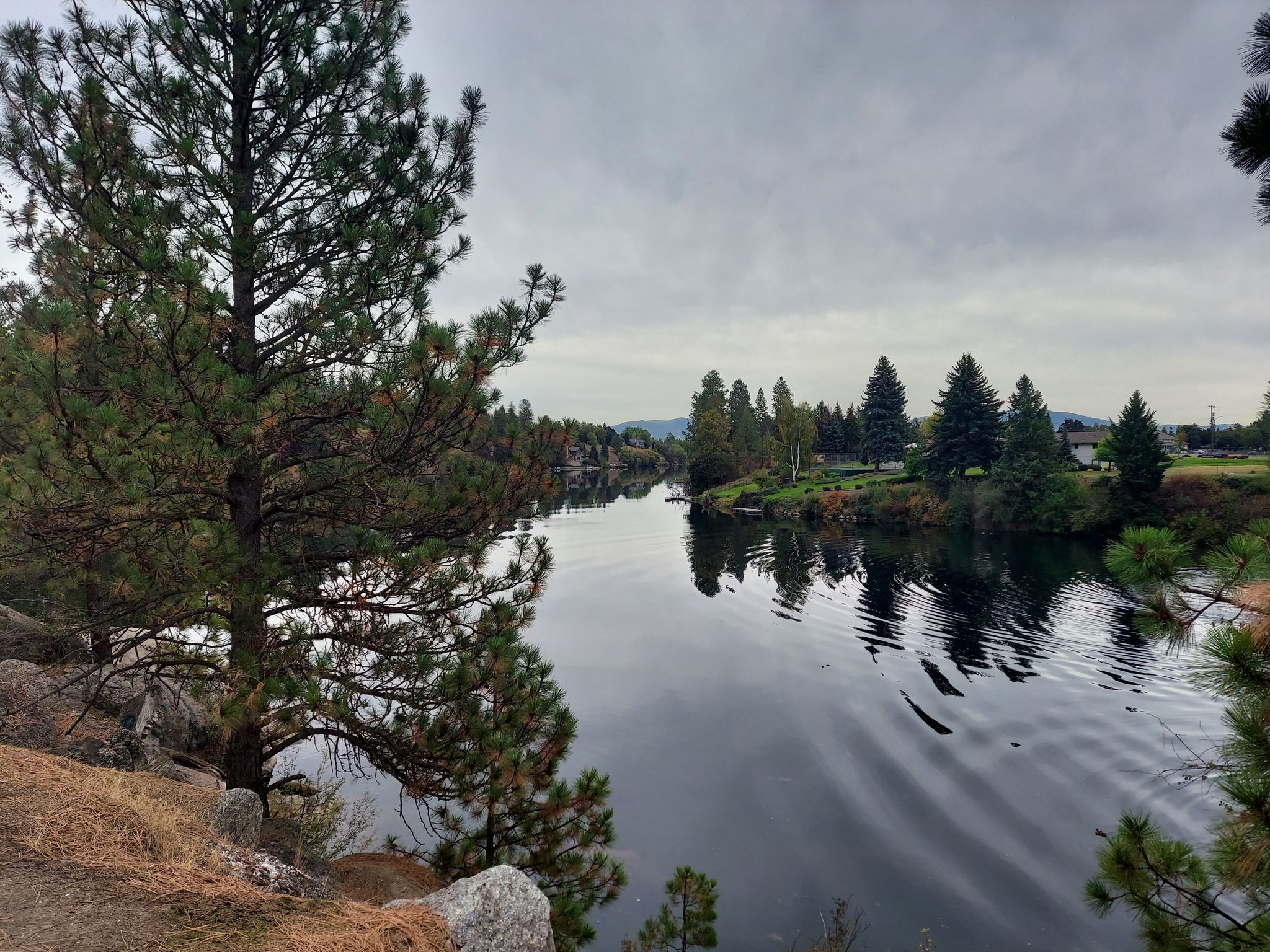 Calm river reflects pine trees and distant buildings under an overcast sky. - Minnehaha Rocks – Boulder Beach loop from Felts Field Airport