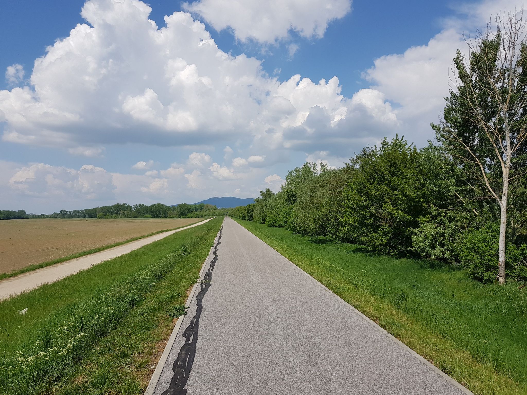 Guter Radweg