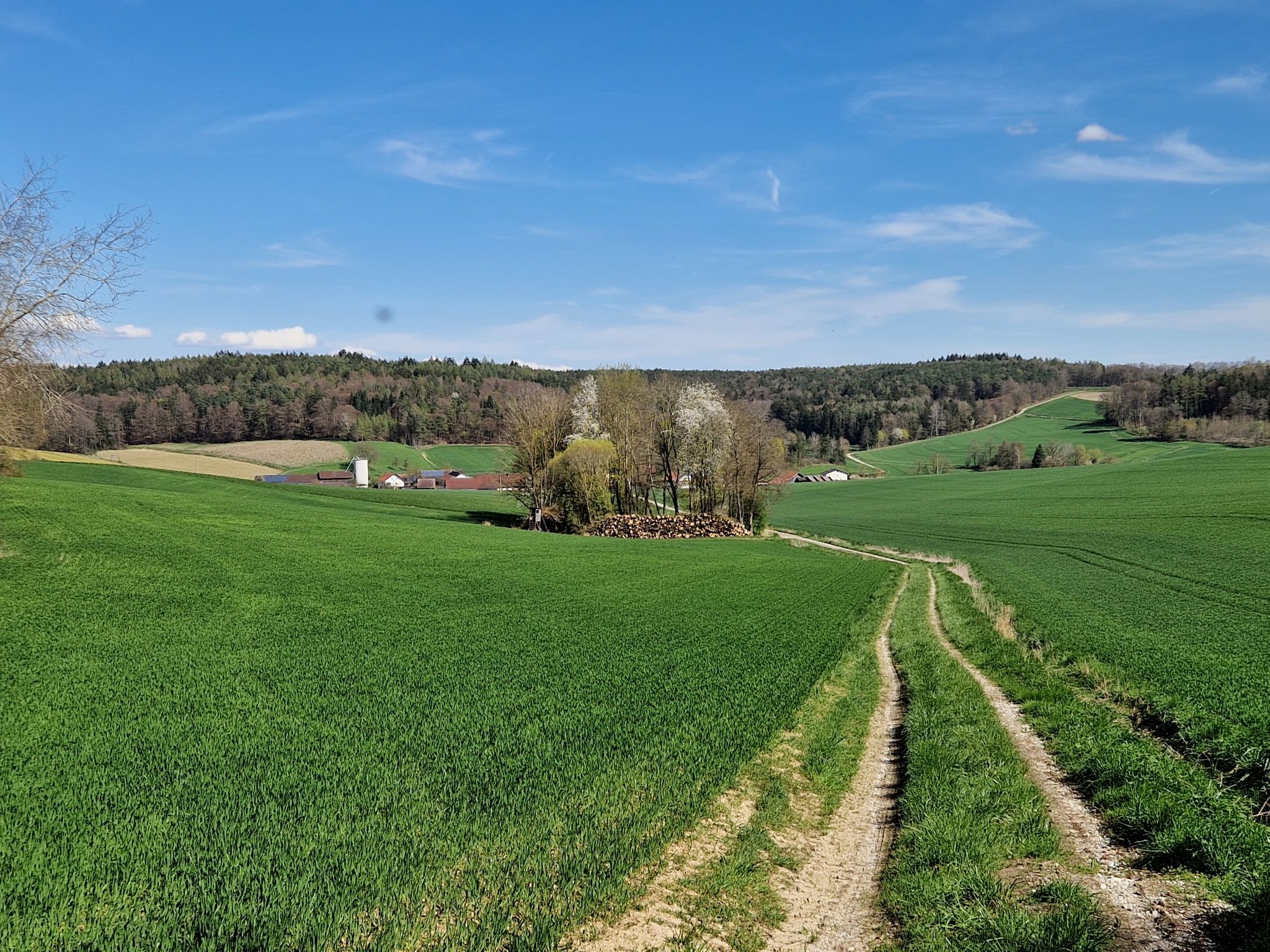 pestendorf