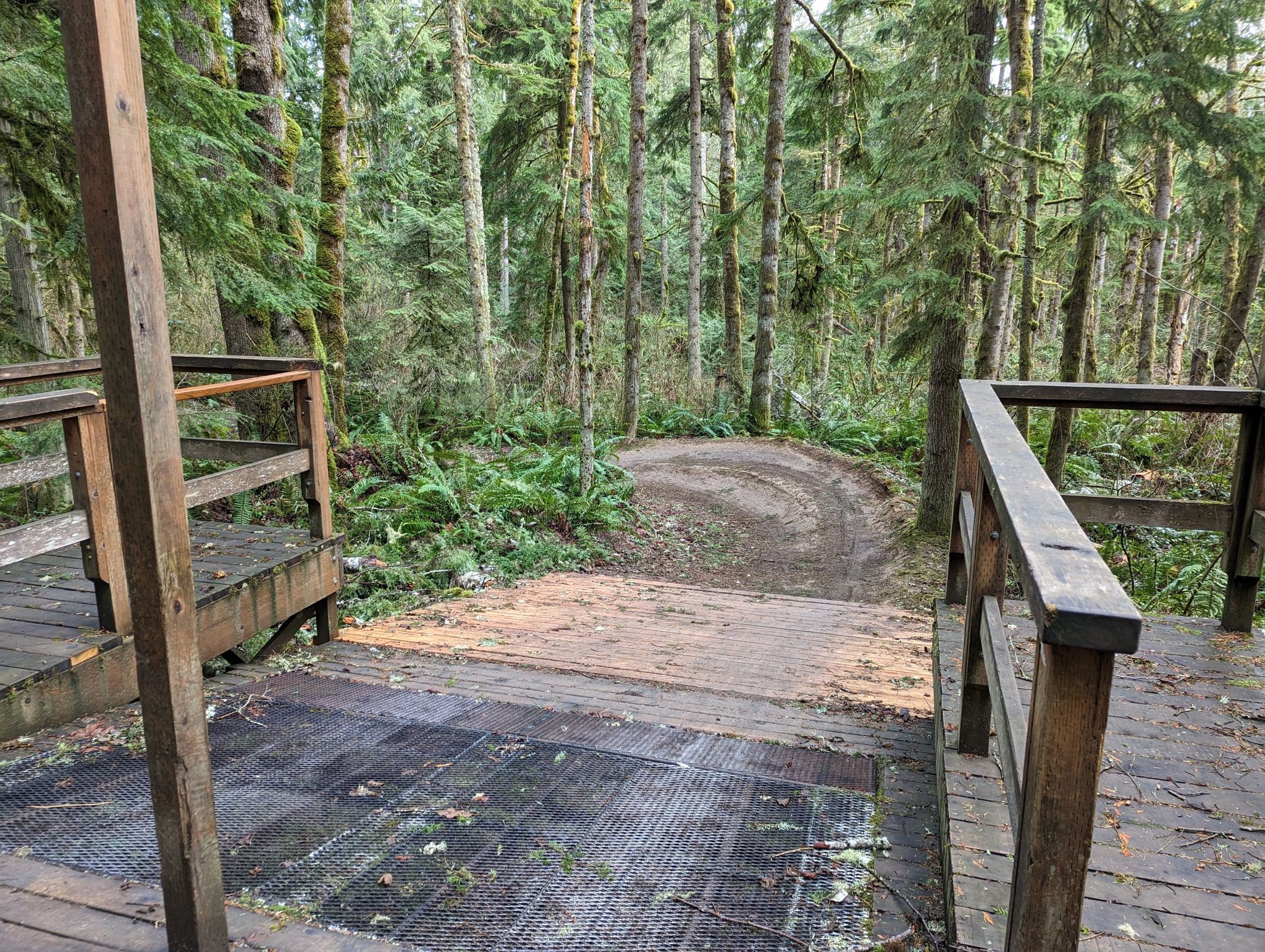 A wooden ramp leads to a winding dirt path through a dense forest. - Duthie Mountain Bike Park Loop