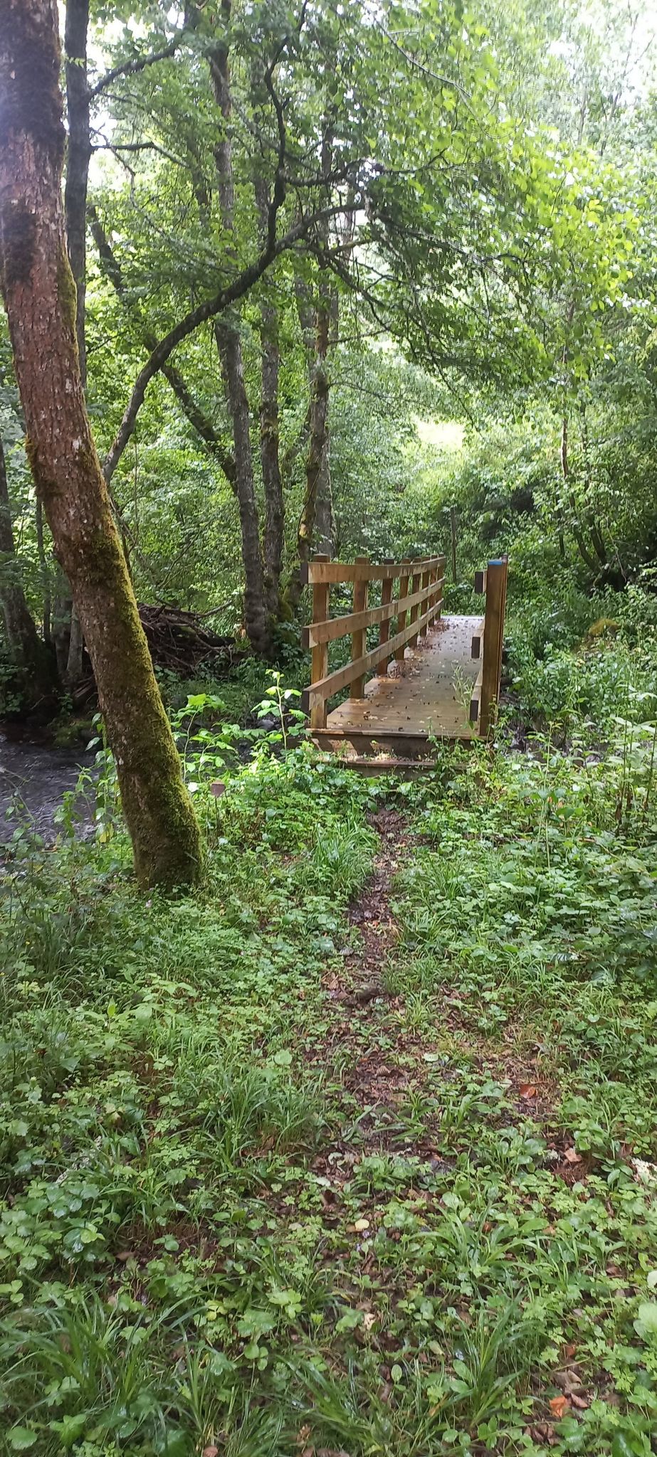 passerelle