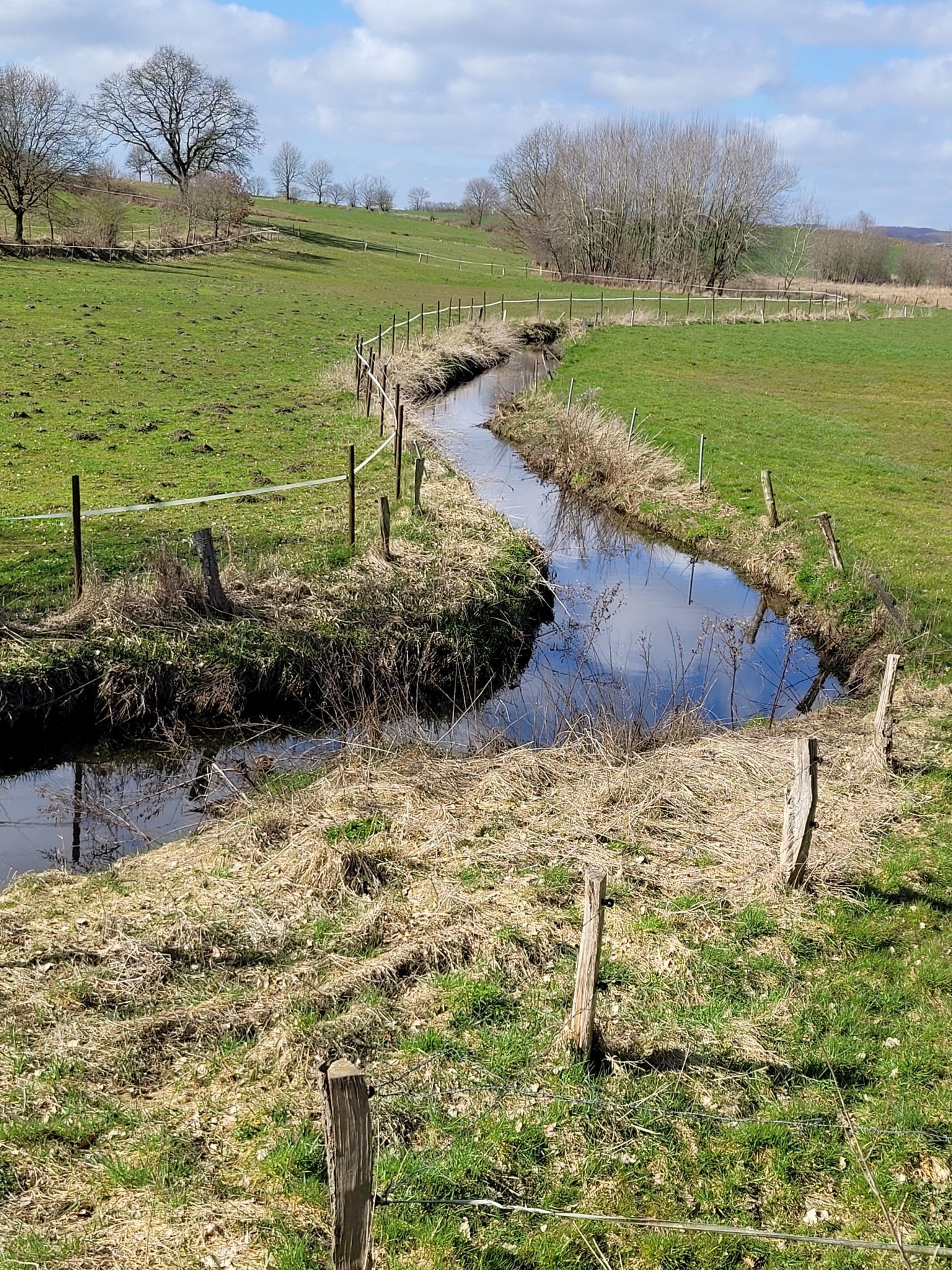 Gieselau