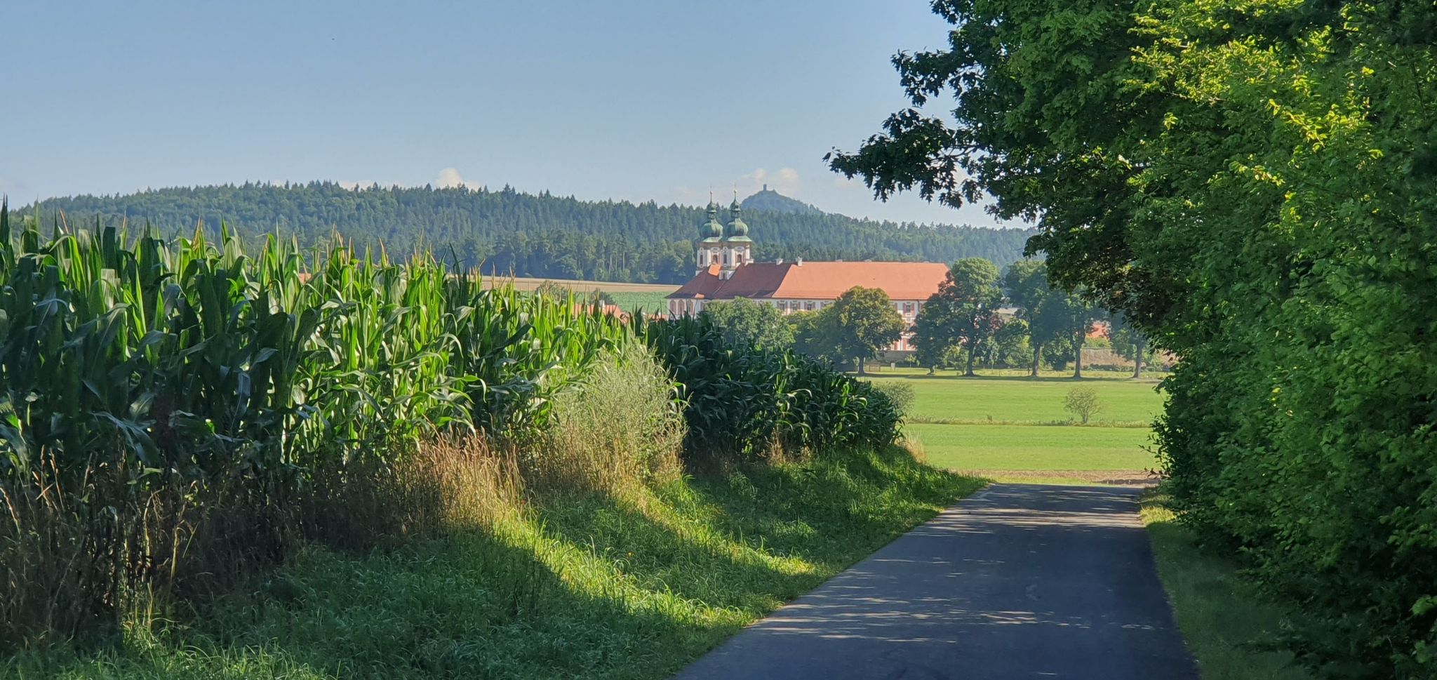 Blick zum Kloster Speinshart