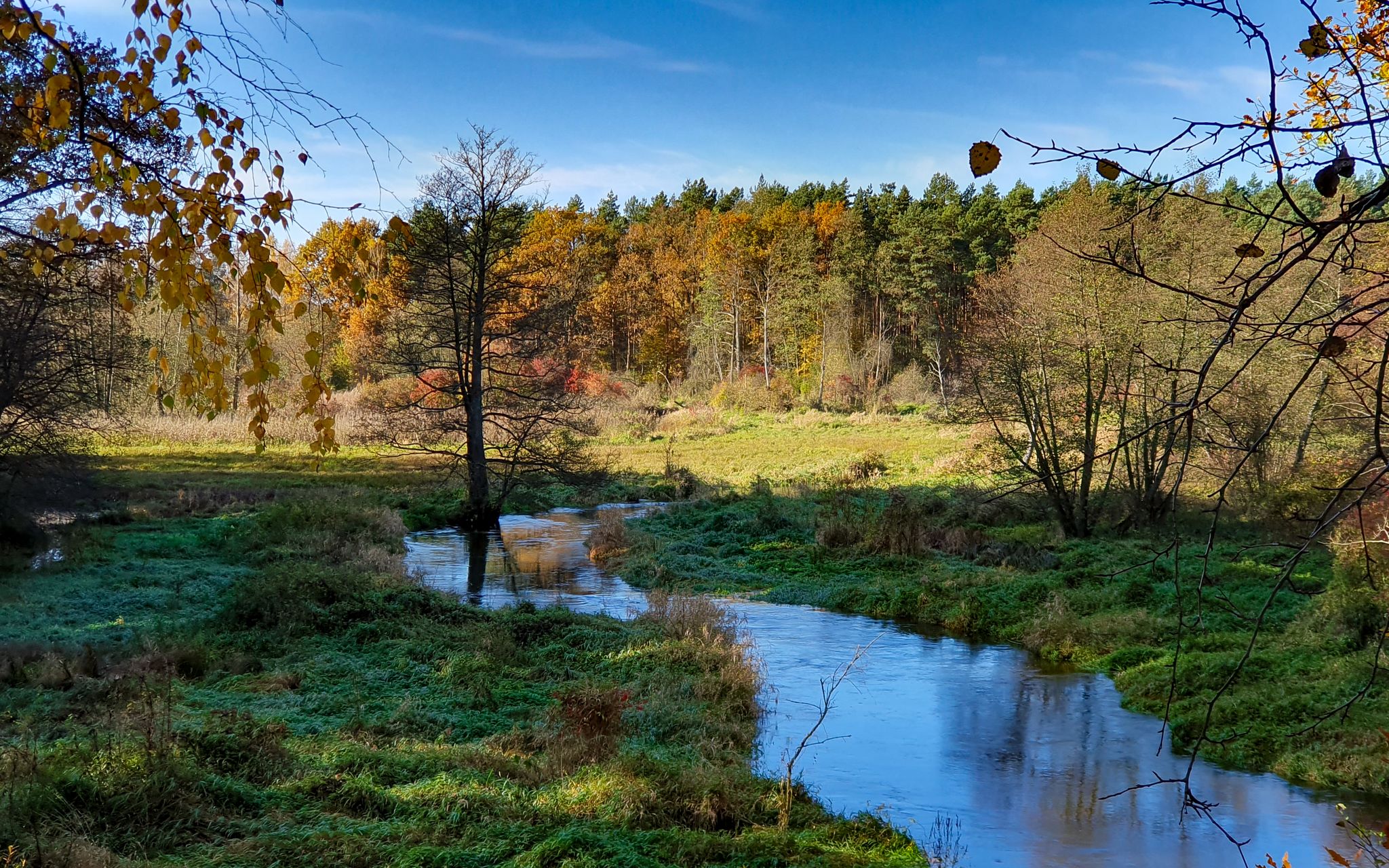 Cudne jesienne klimaty rezerwatu rzeki Rawka