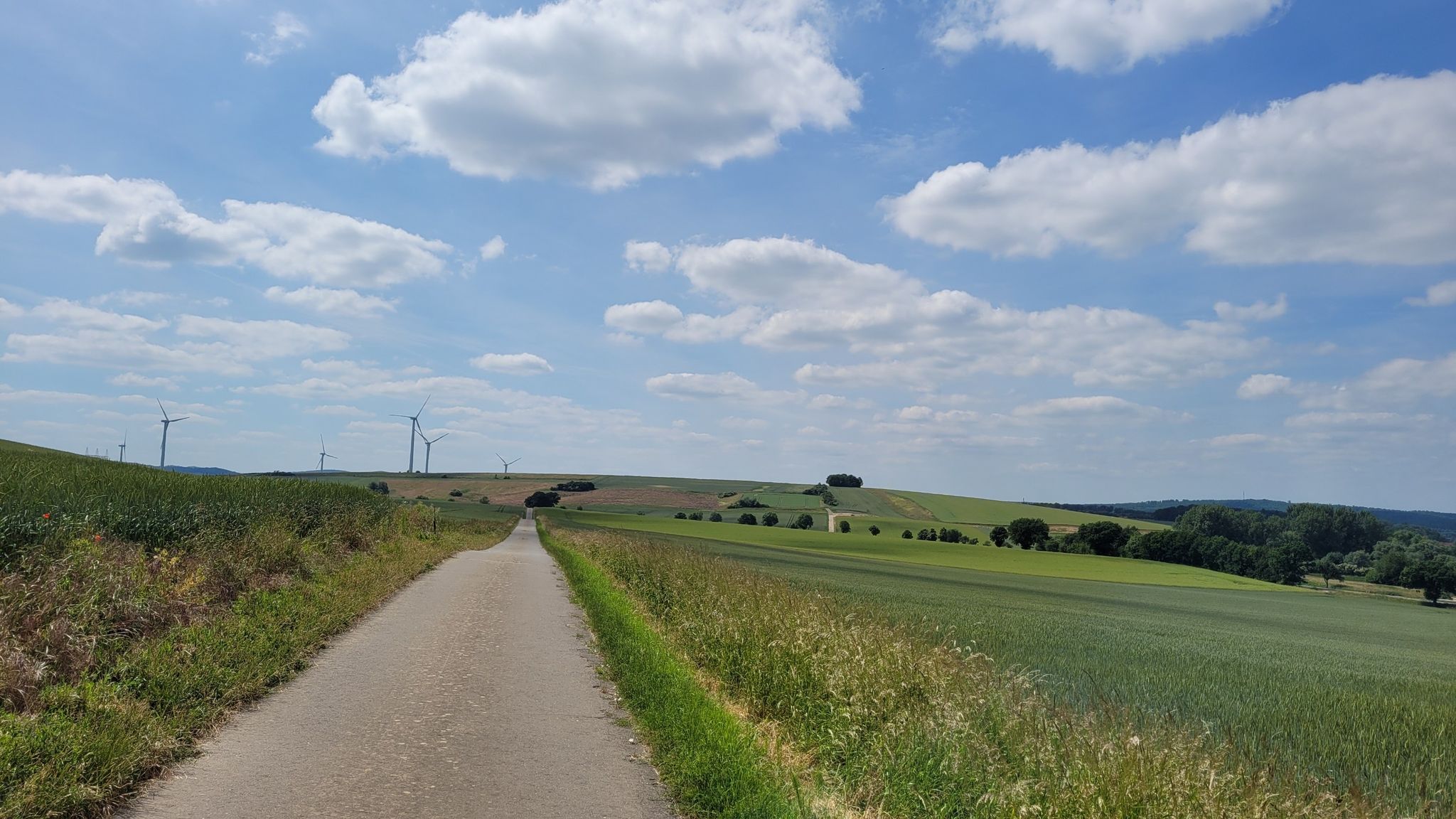 Richtung Holle, Windräder