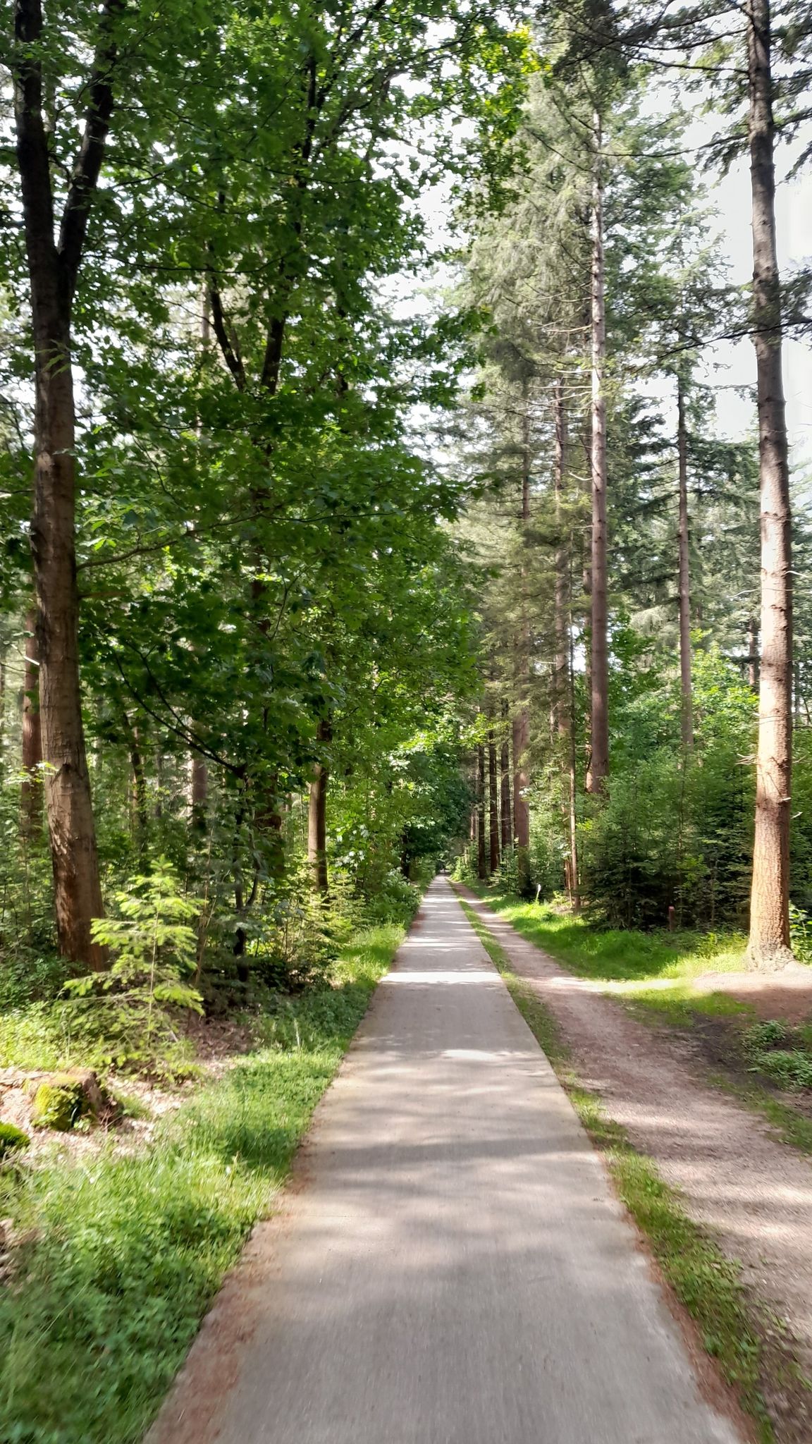 Nieuwe Prinsenweg