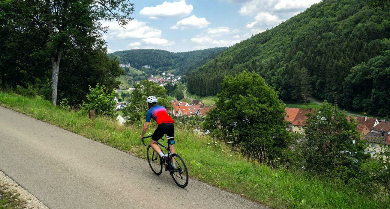 trekkingrad damen giant Herrenrad City Bike Rahmenhöhe 48 52 56 60 cm M L XL günstig kaufen Farbe:Stein ▷ Bikepacking mit dem model-orionteam