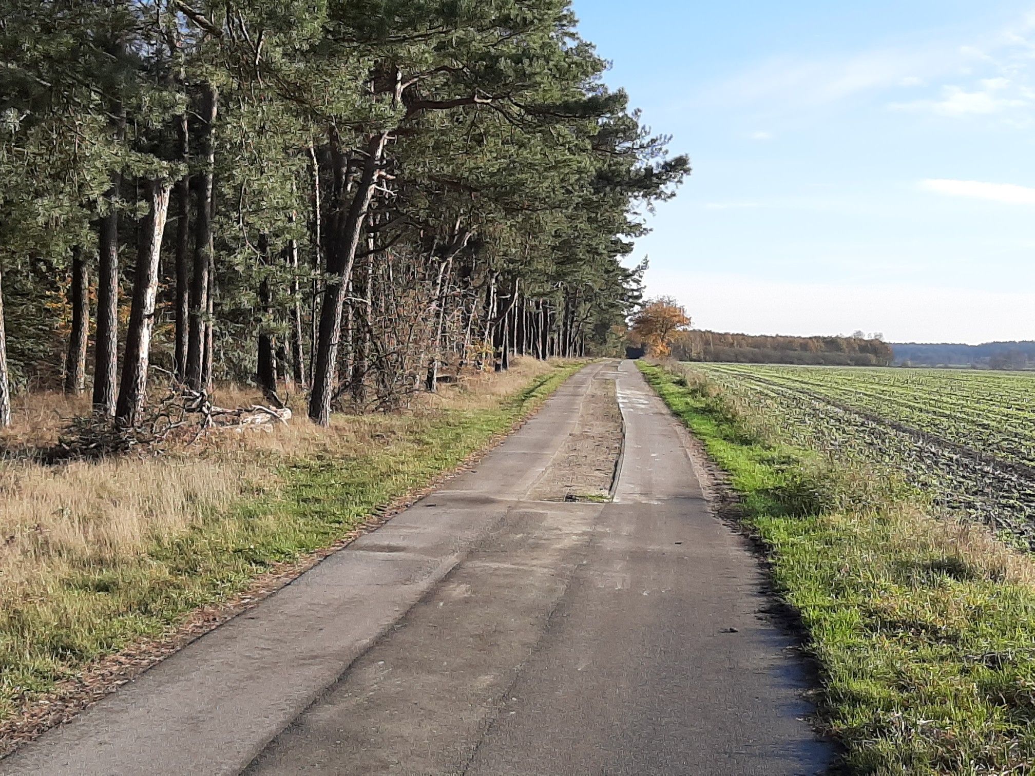 Armstorf Richtung Lamstedt