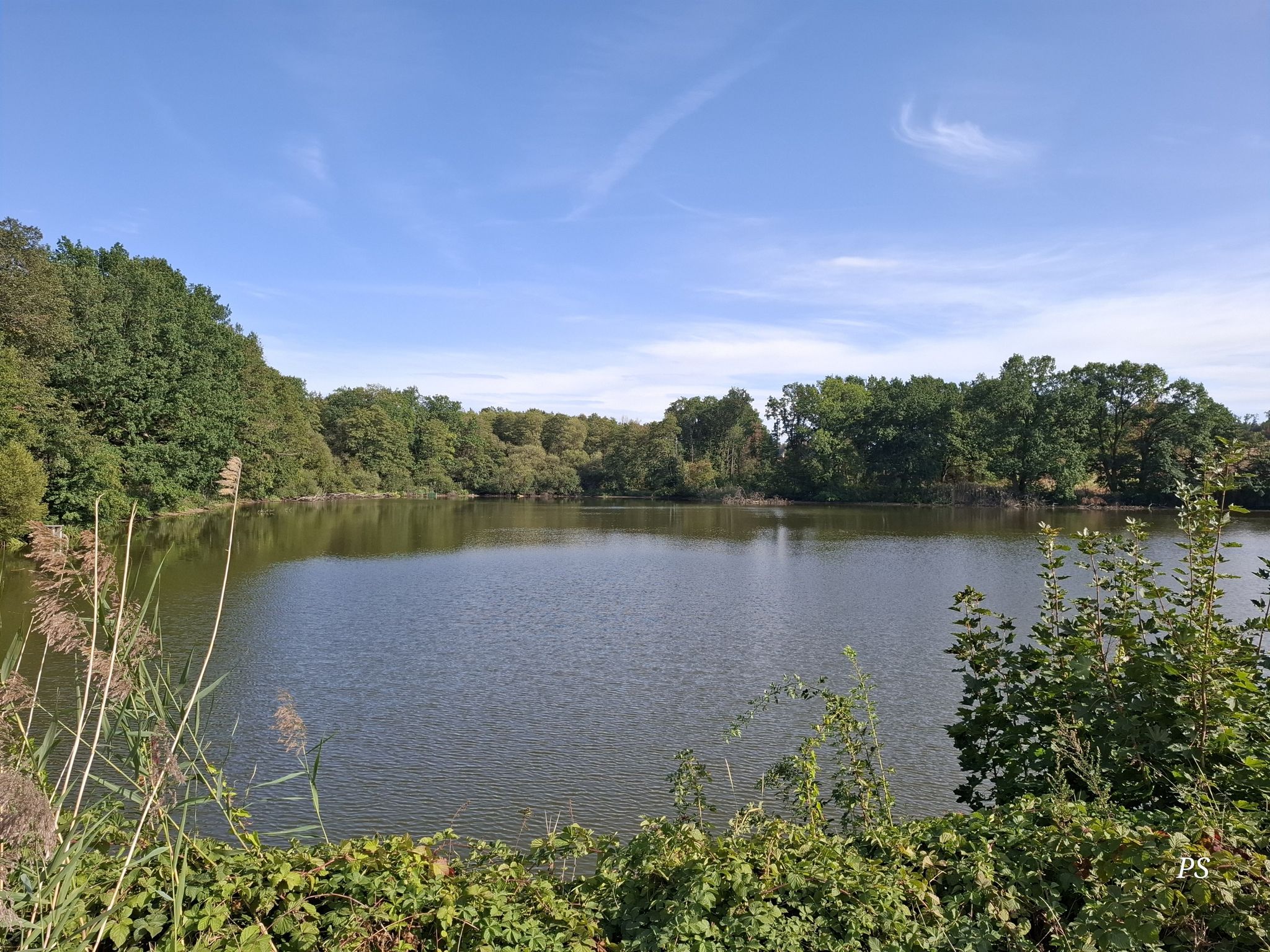 Drescherteich