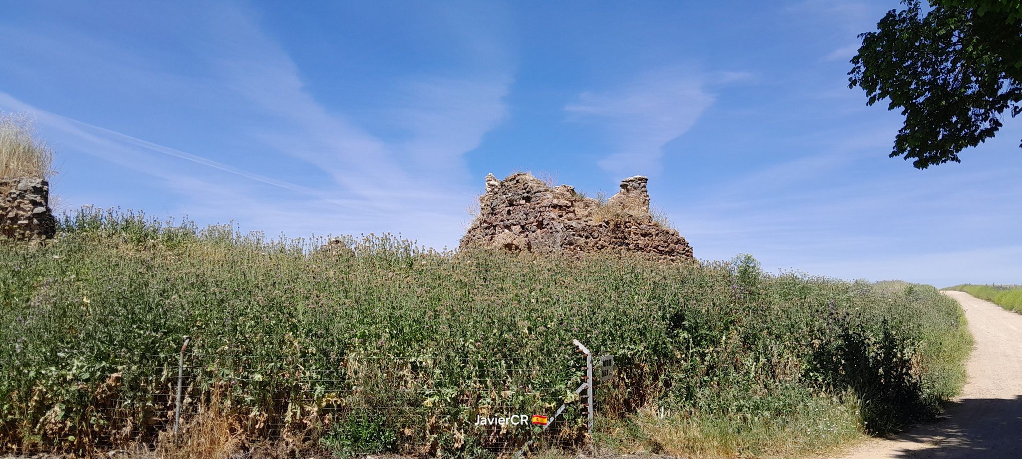 Ruinas de la ermita de Sancho Rey