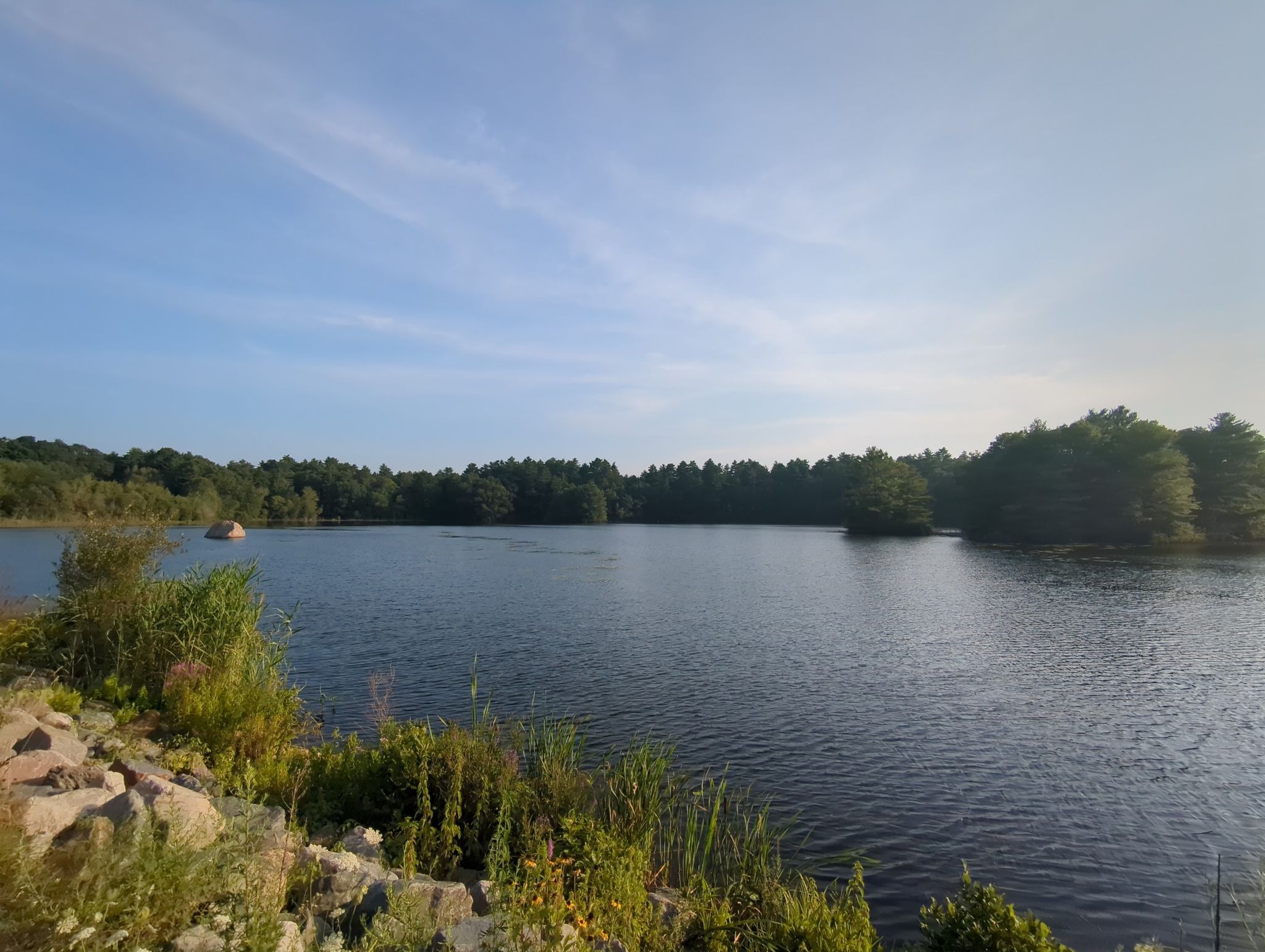 Wide lake view with distant trees under a bright blue sky. - Massasoit Loop
