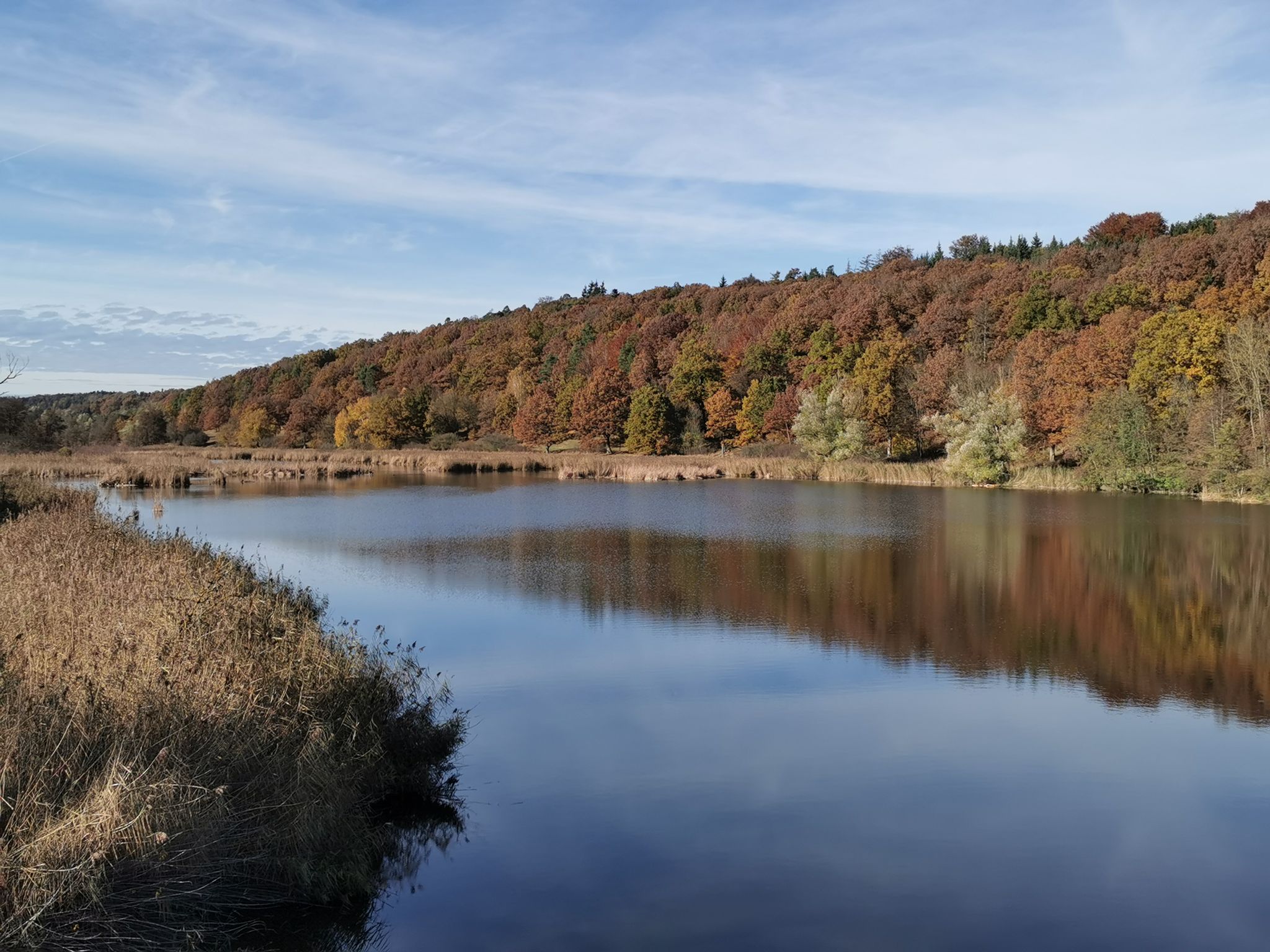 Panoramablick auf den Scheerweiher vom Aussichtsturm