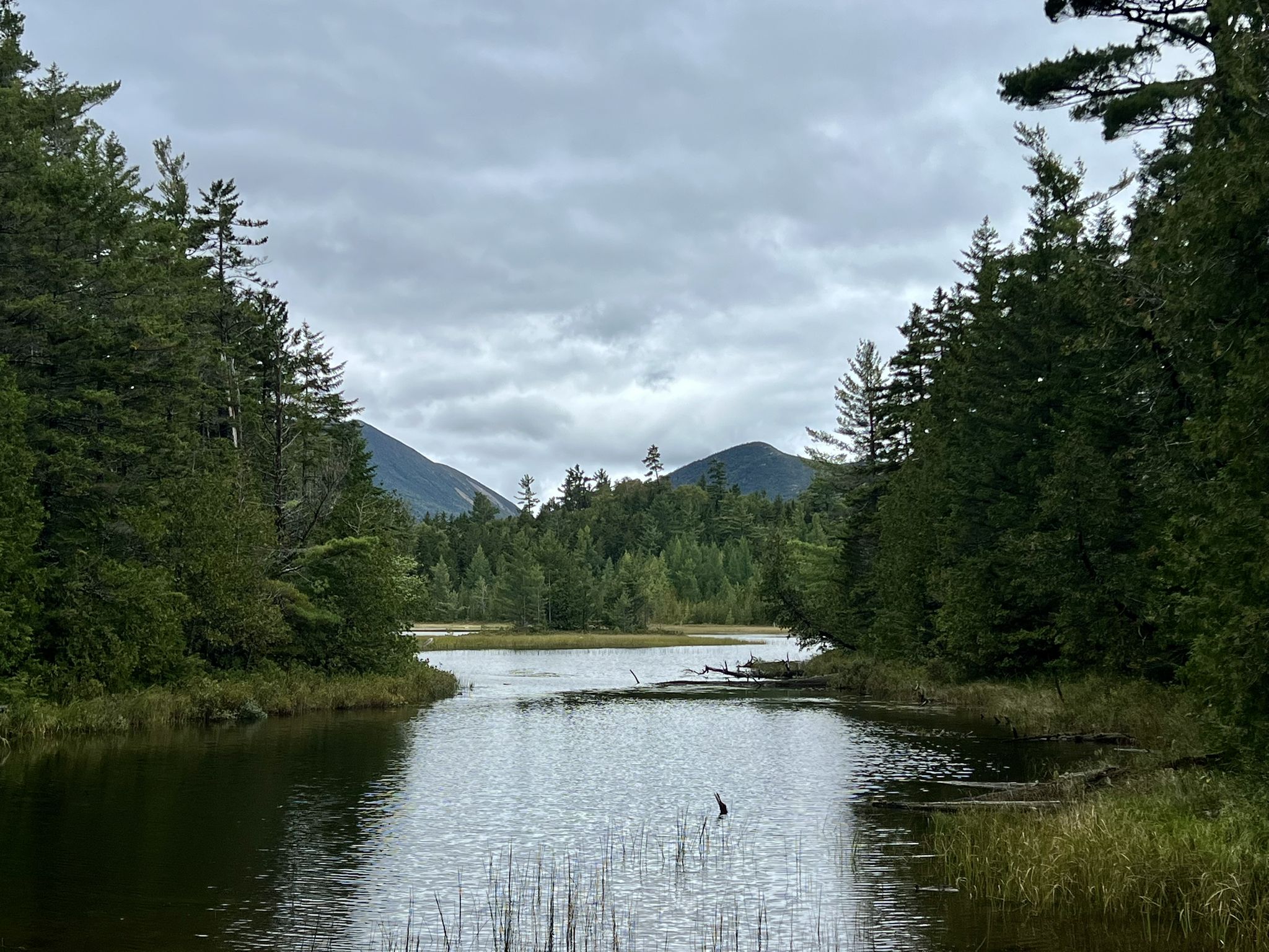 A calm lake surrounded by dense forest under a cloudy sky, with distant mountains. - Grassy and Elbow Ponds Loop