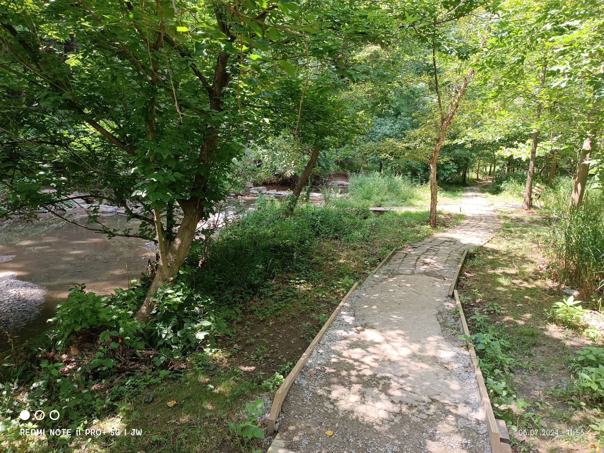 A paved path follows a calm stream through a sunny, green forest. - Nine Mile Run and Firelane Trail Loop