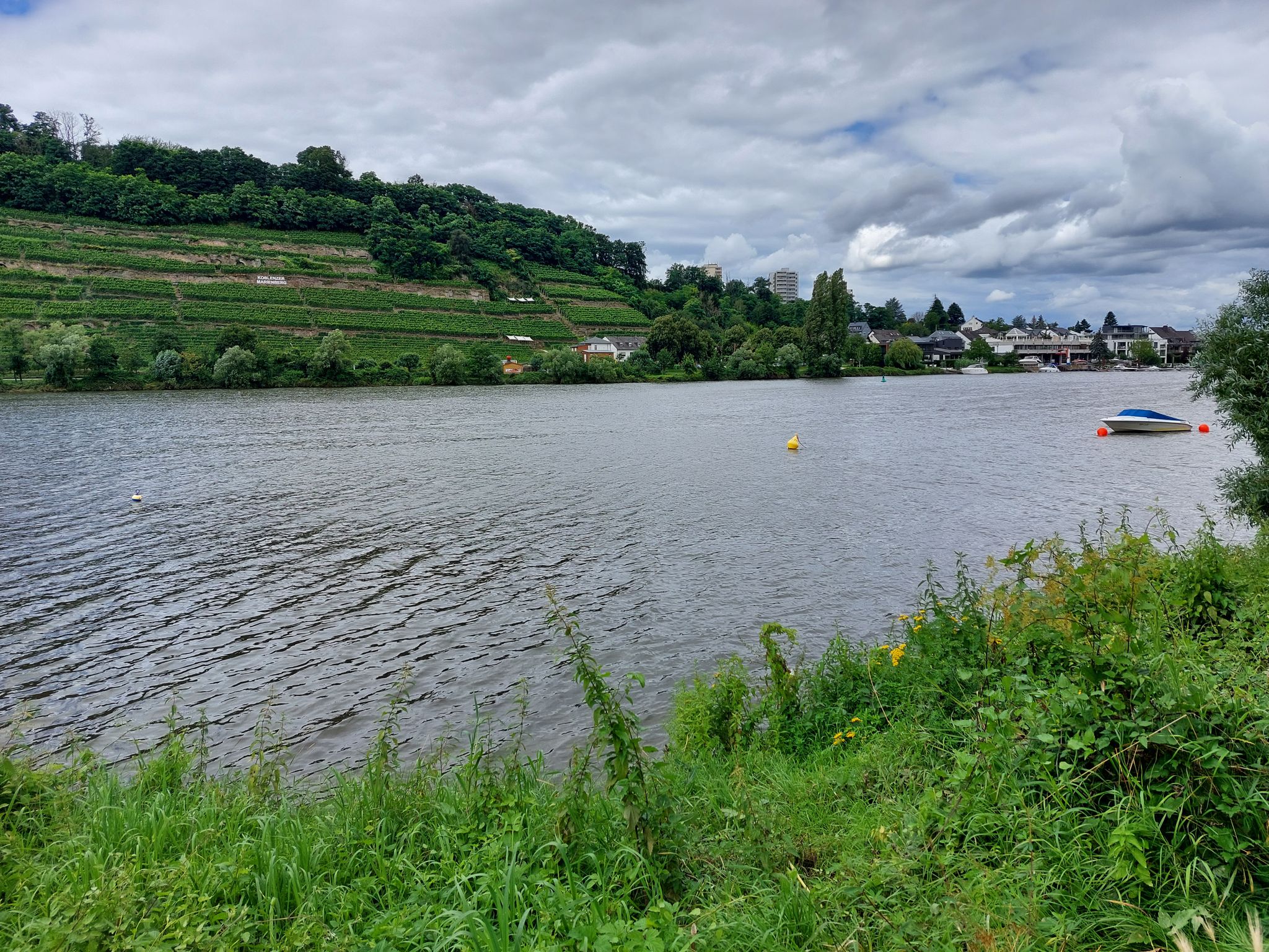 Am Moselufer (Koblenz)