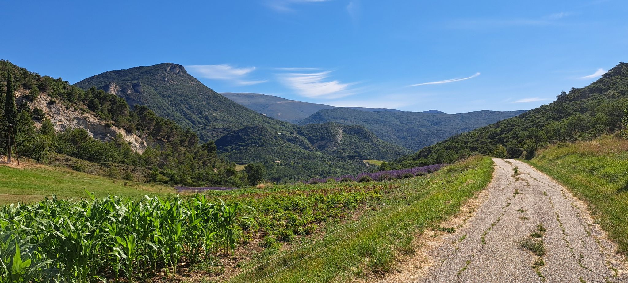 col de la ferme