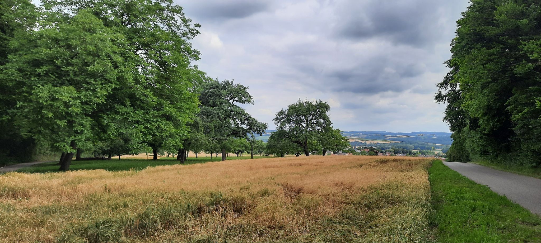 Oberacker