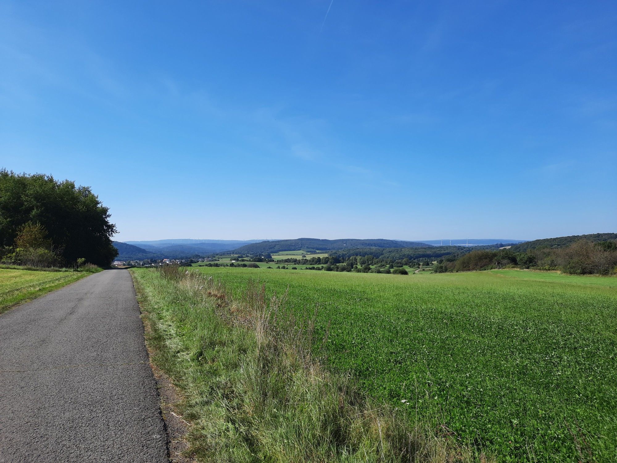 ...vor Wolfersweiler