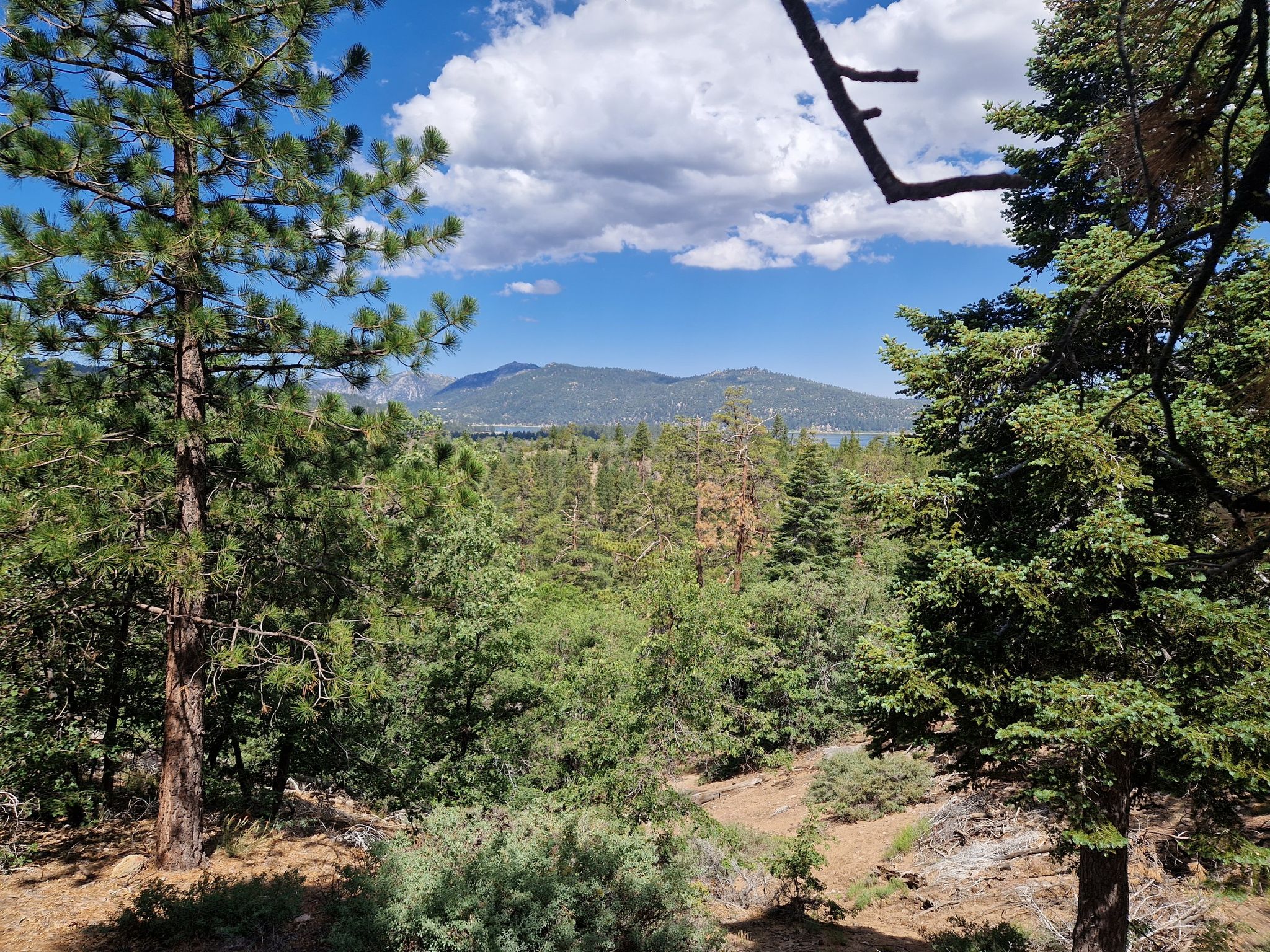 Expansive forest view with distant mountains under a partly cloudy sky. - Pine Knot Trail – Deer Group Campground loop from Big Bear Lake
