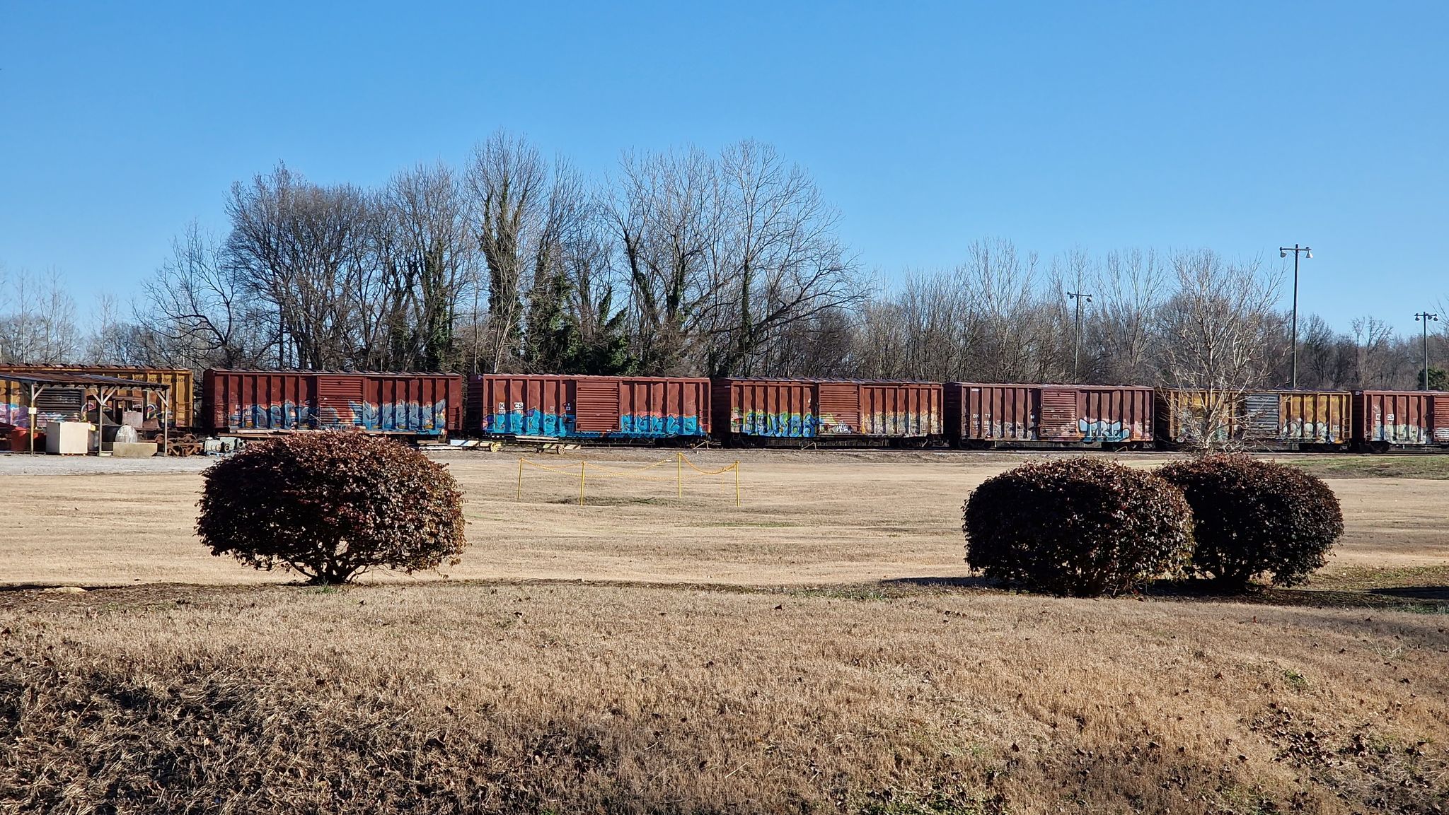Long train cars with graffiti parked in a dry, grassy field under clear sky. - Swamp Rabbit Cafe & Grocery – Unity Park loop from Sans Souci