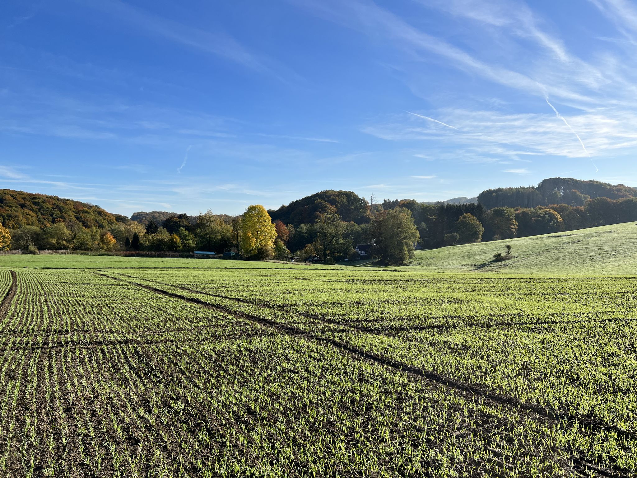 Hombachtal