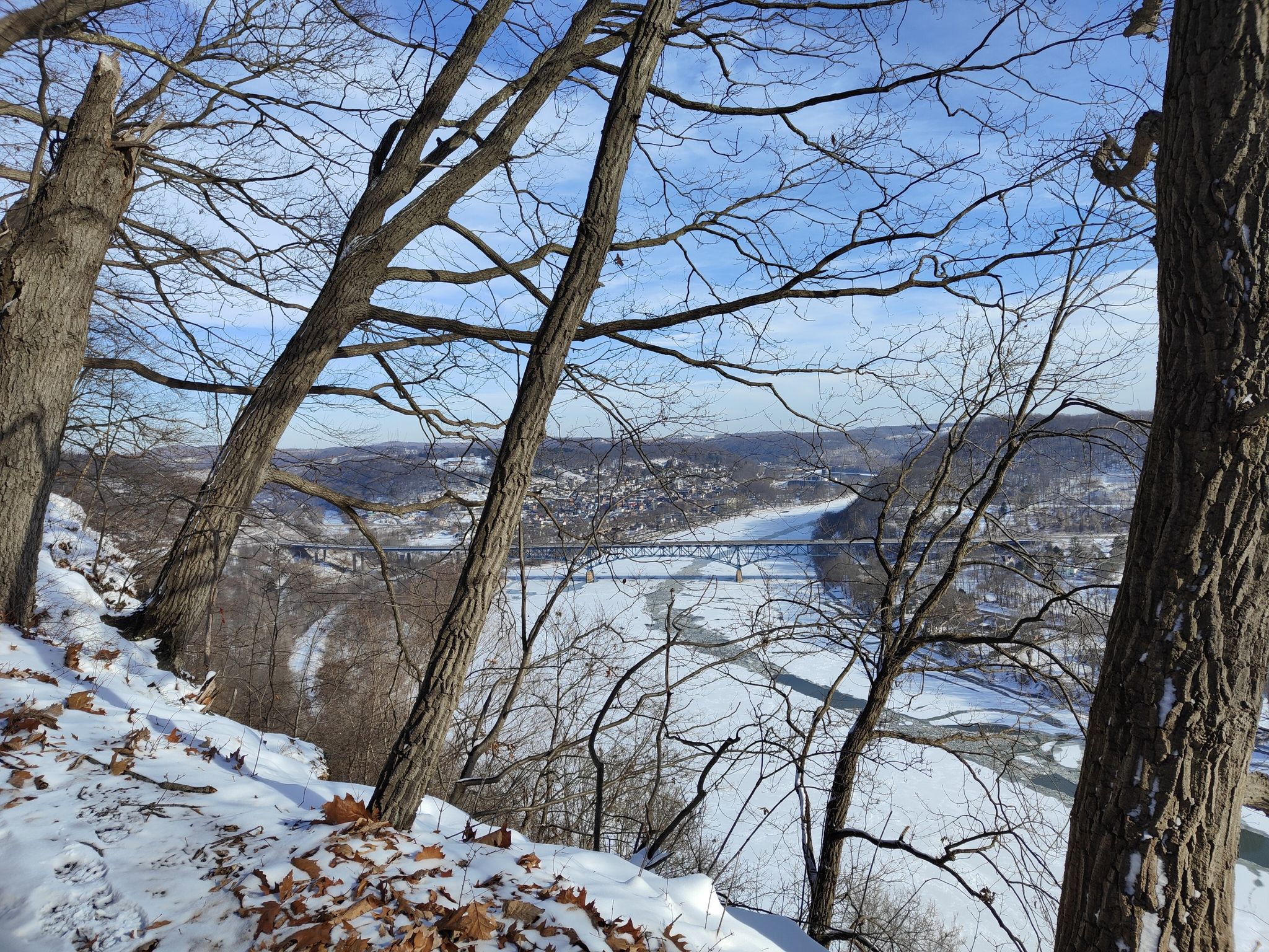 Snowy hillside with bare trees overlooking a frozen river valley under blue sky. - Scouts Trail