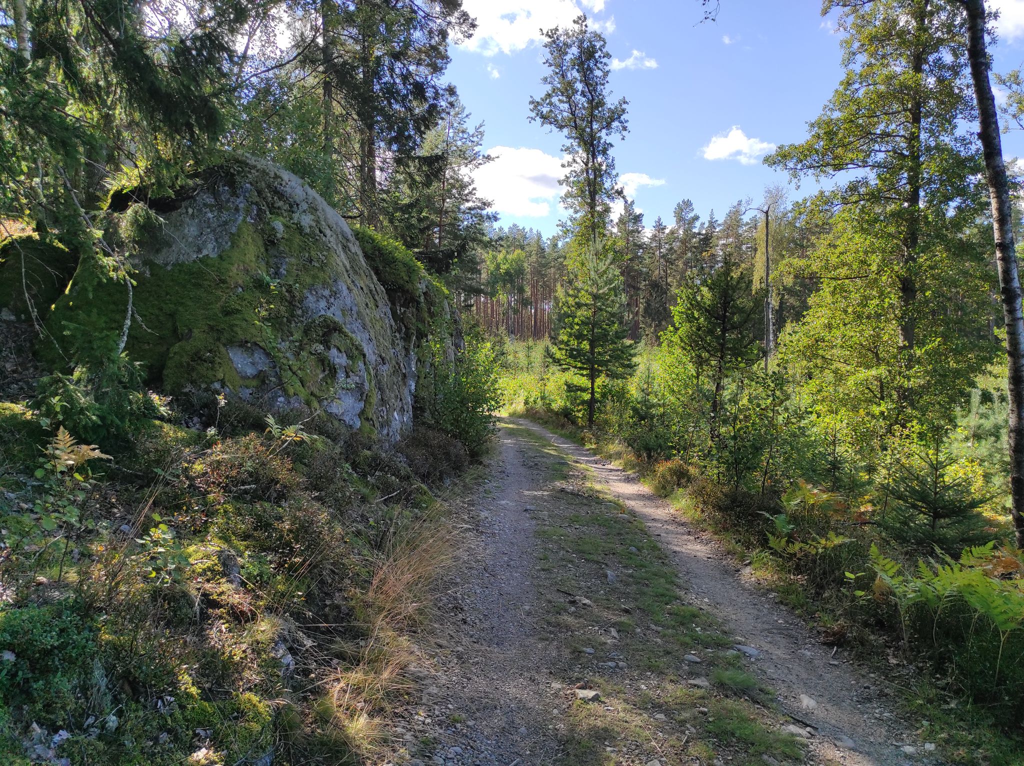 Can barely believe that the highway is just 500m from here!
