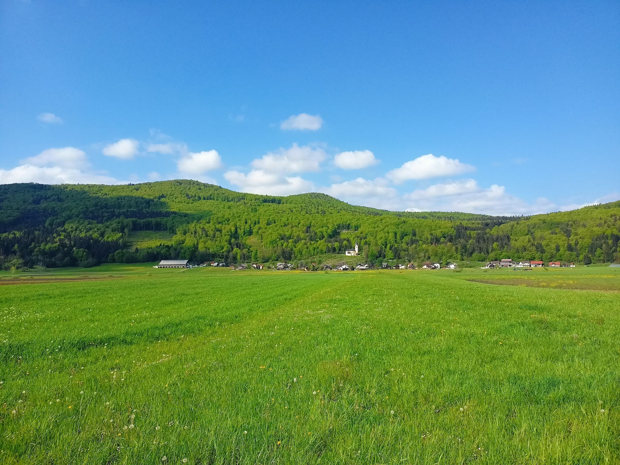Village Podpeč and hill Kamen vrh