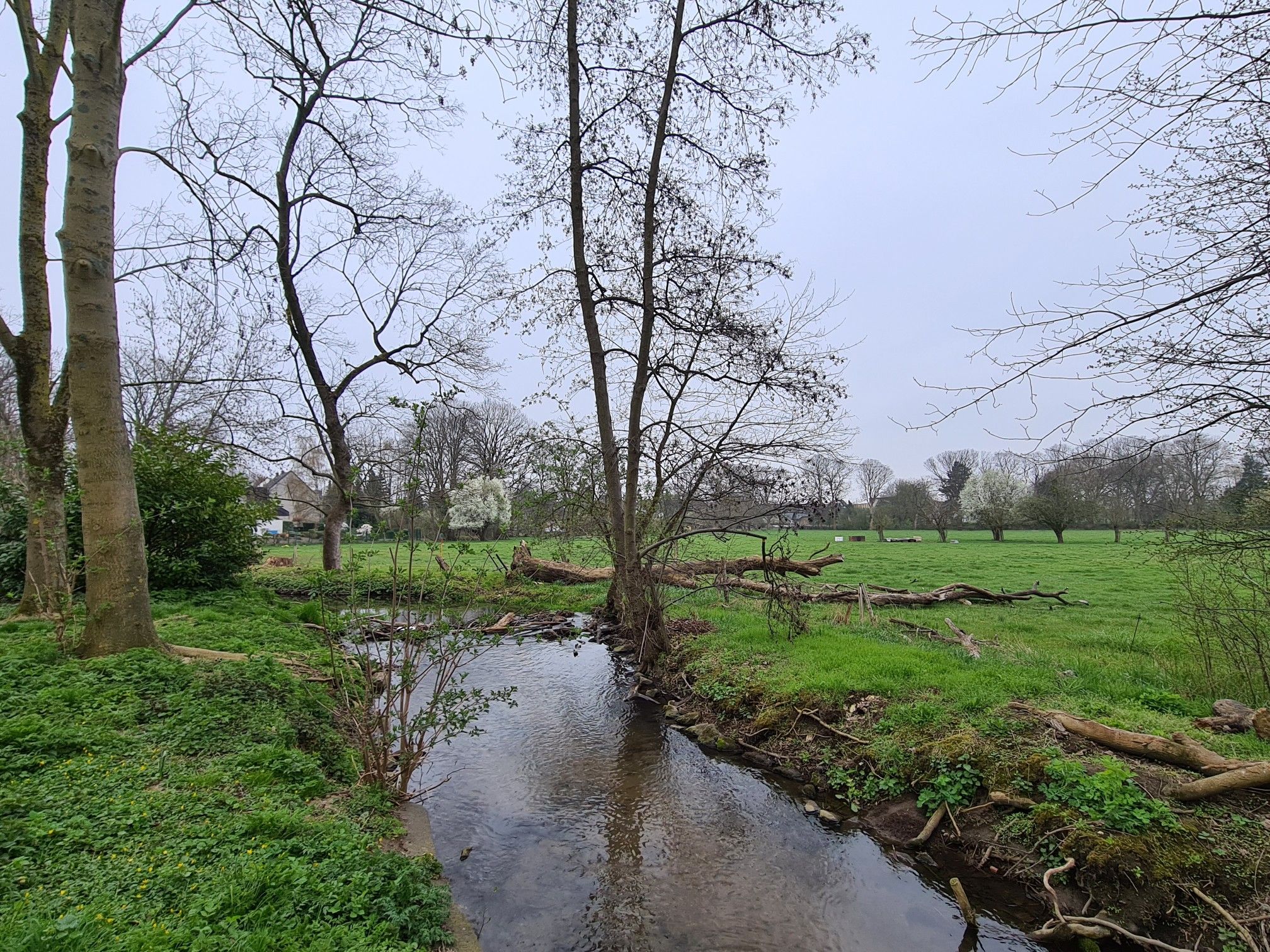die Strunde