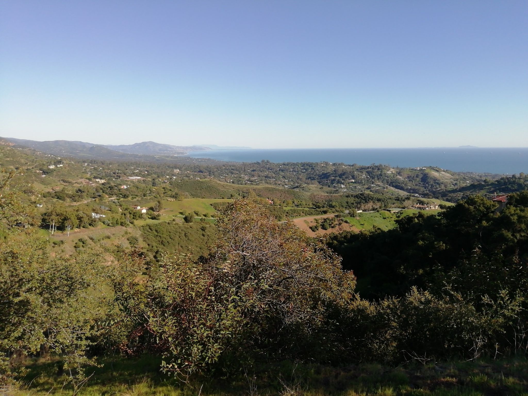 A panoramic view of green hills sloping towards a distant, calm ocean. - Gibraltar Road loop from Santa Barbara High School