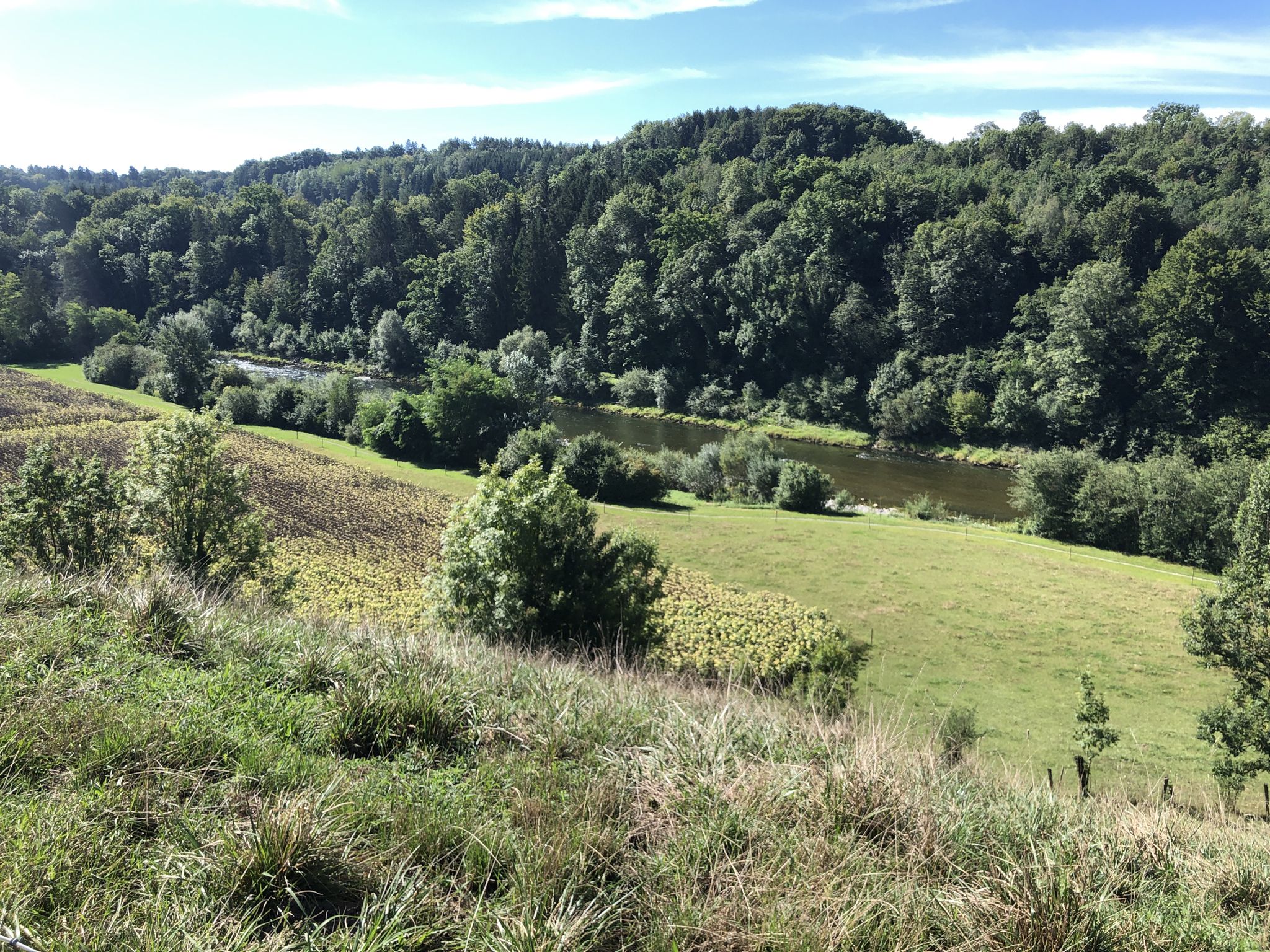 Thur beim Werdhof Andelfingen
