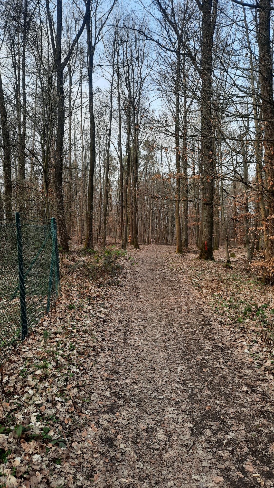 Trails