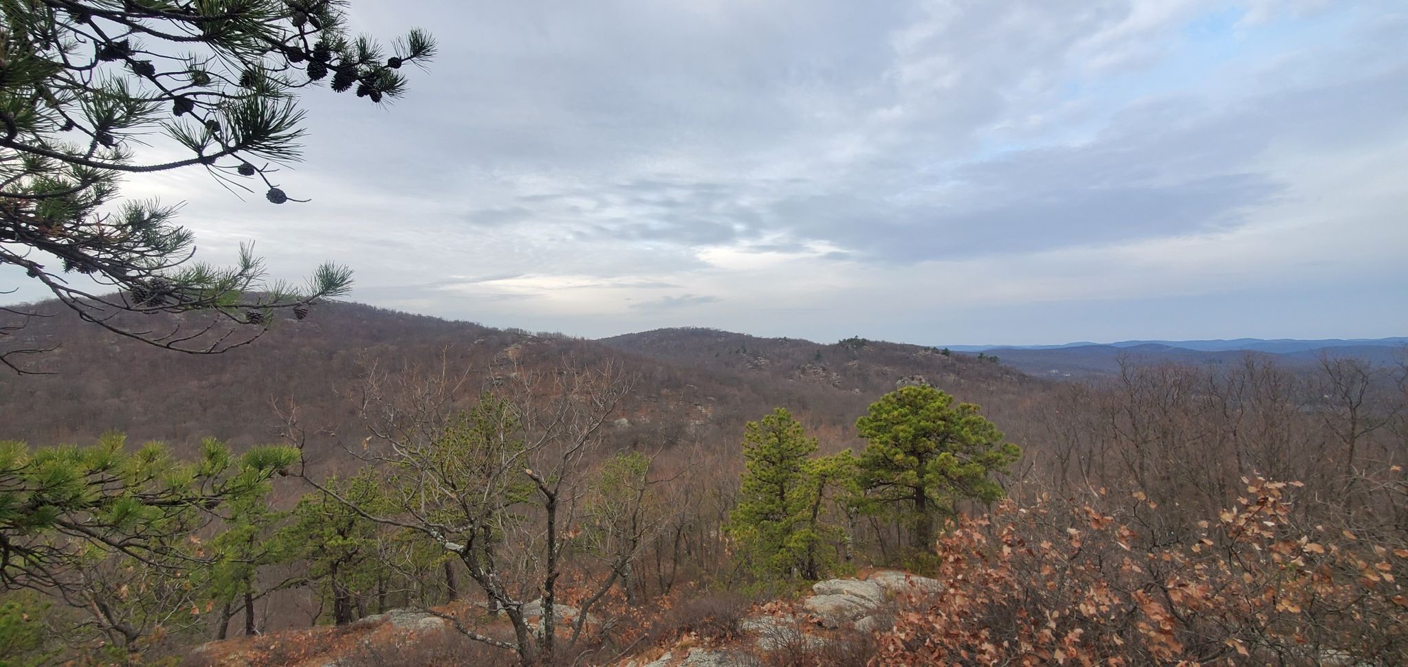 Overcast sky above a vast landscape of bare trees and rolling hills. - High Point Loop
