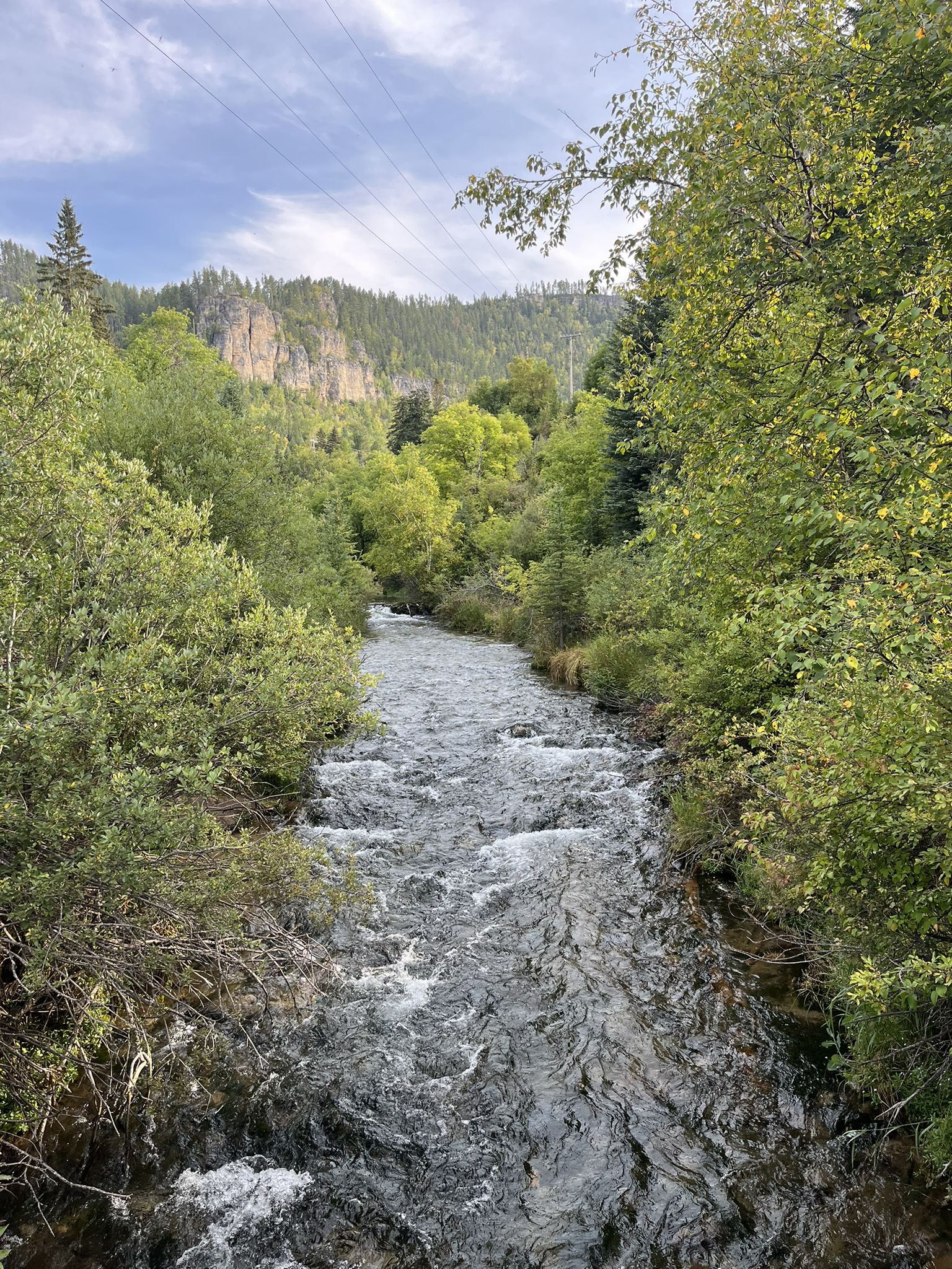 A clear river flows through a vibrant green forest with distant hills. - Spearfish Falls Trail