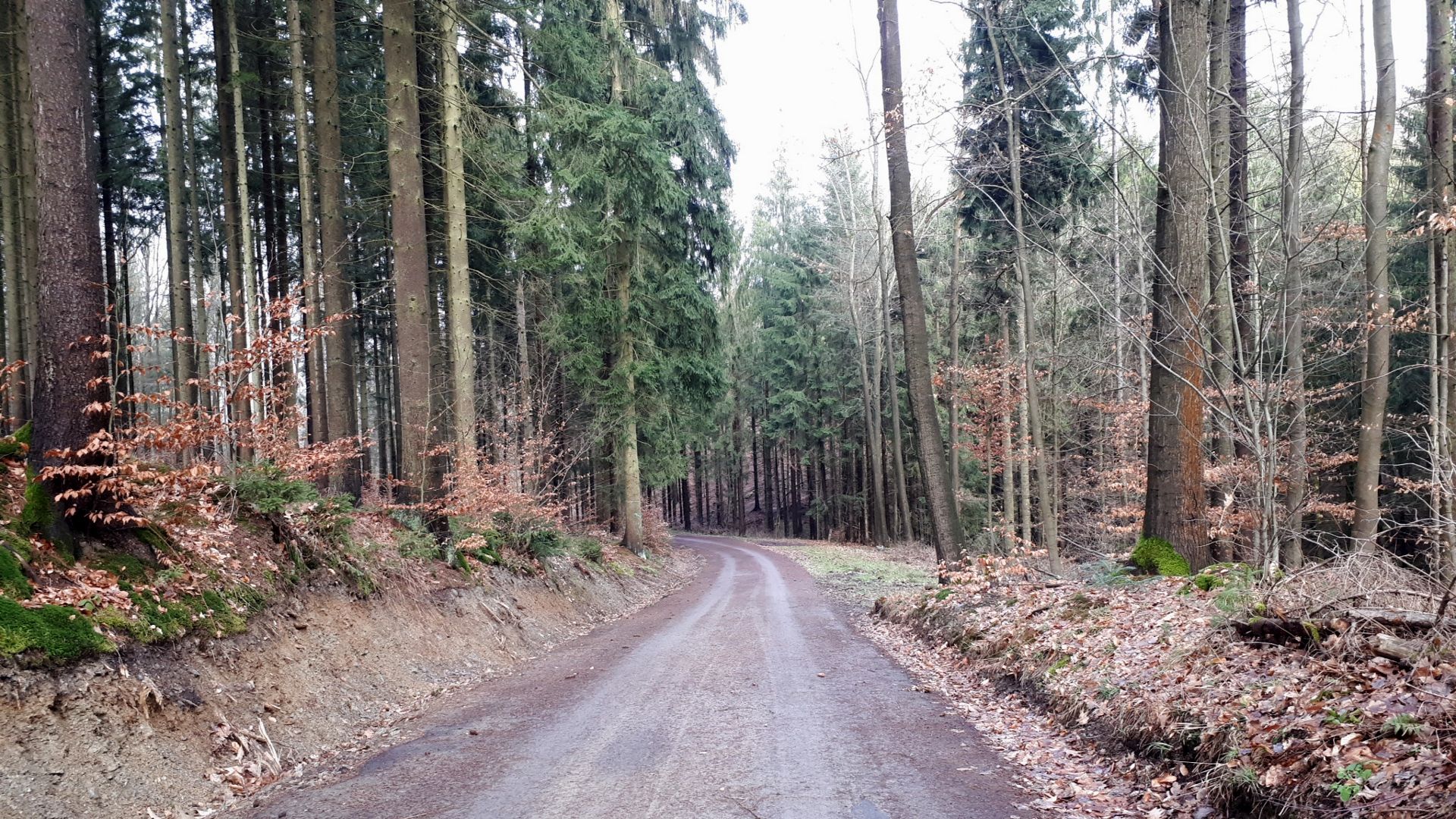 3 km bergab nach...