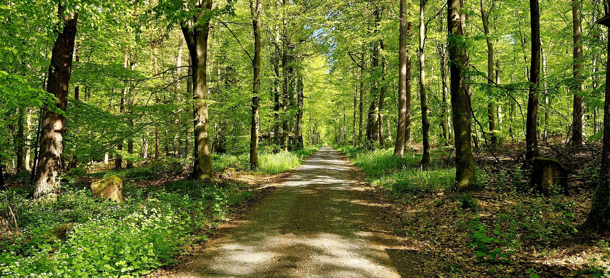 Ehemalige Römerstraße "Via Romana"