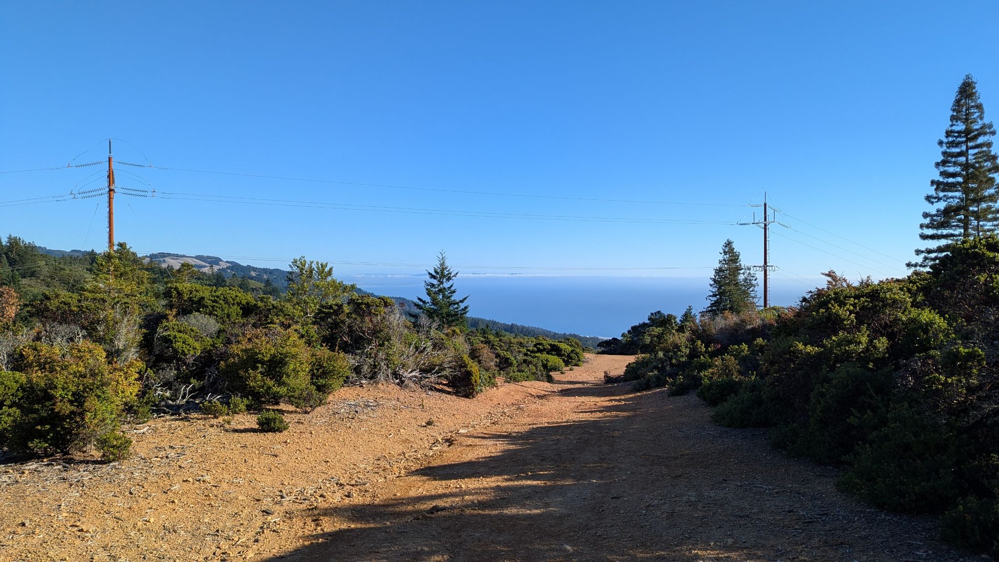 Sunny dirt road overlooking a distant ocean with power lines. - Bolinas Ridge Trail – Bolinas Ridge Trail loop from Olema